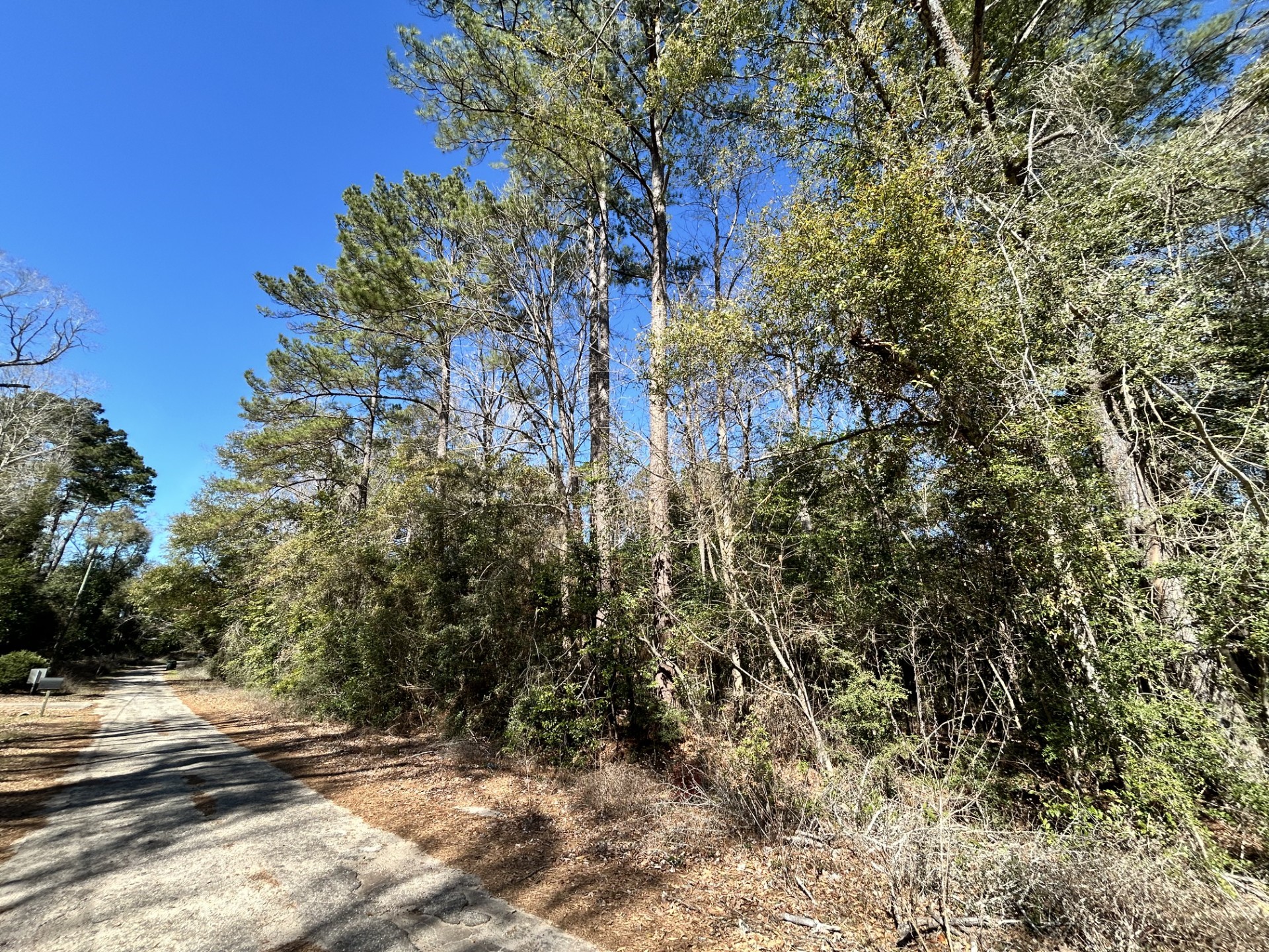 Lot 26 Buckingham Drive Woodville TX 75979