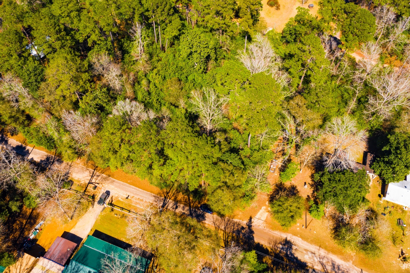 Lot 26 Buckingham Drive Woodville TX 75979