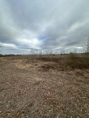 0 County Road 4322 Avery TX 75554