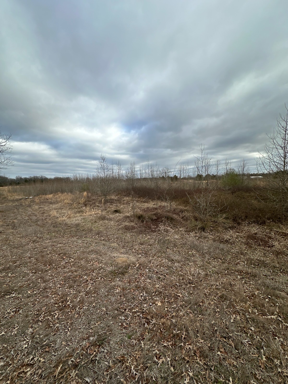 0 County Road 4322 Avery TX 75554