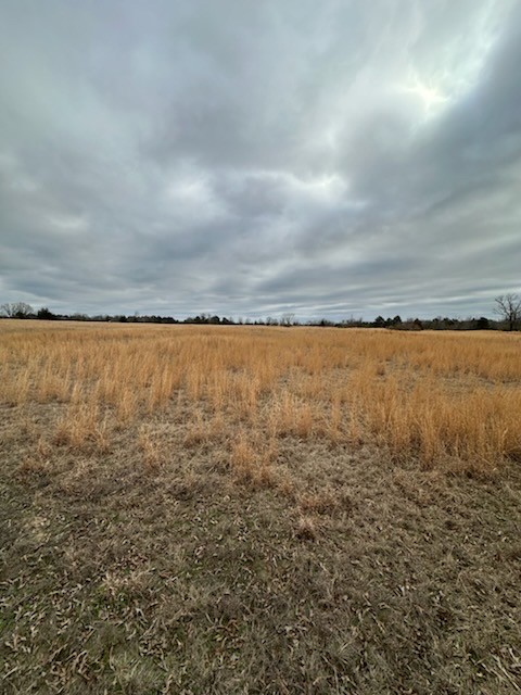0 County Road 4322 Avery TX 75554