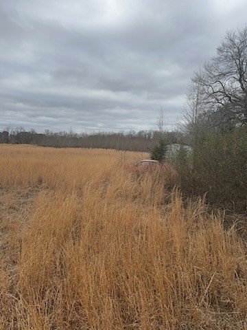 0 County Road 4322 Avery TX 75554
