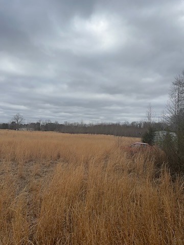 0 County Road 4322 Avery TX 75554