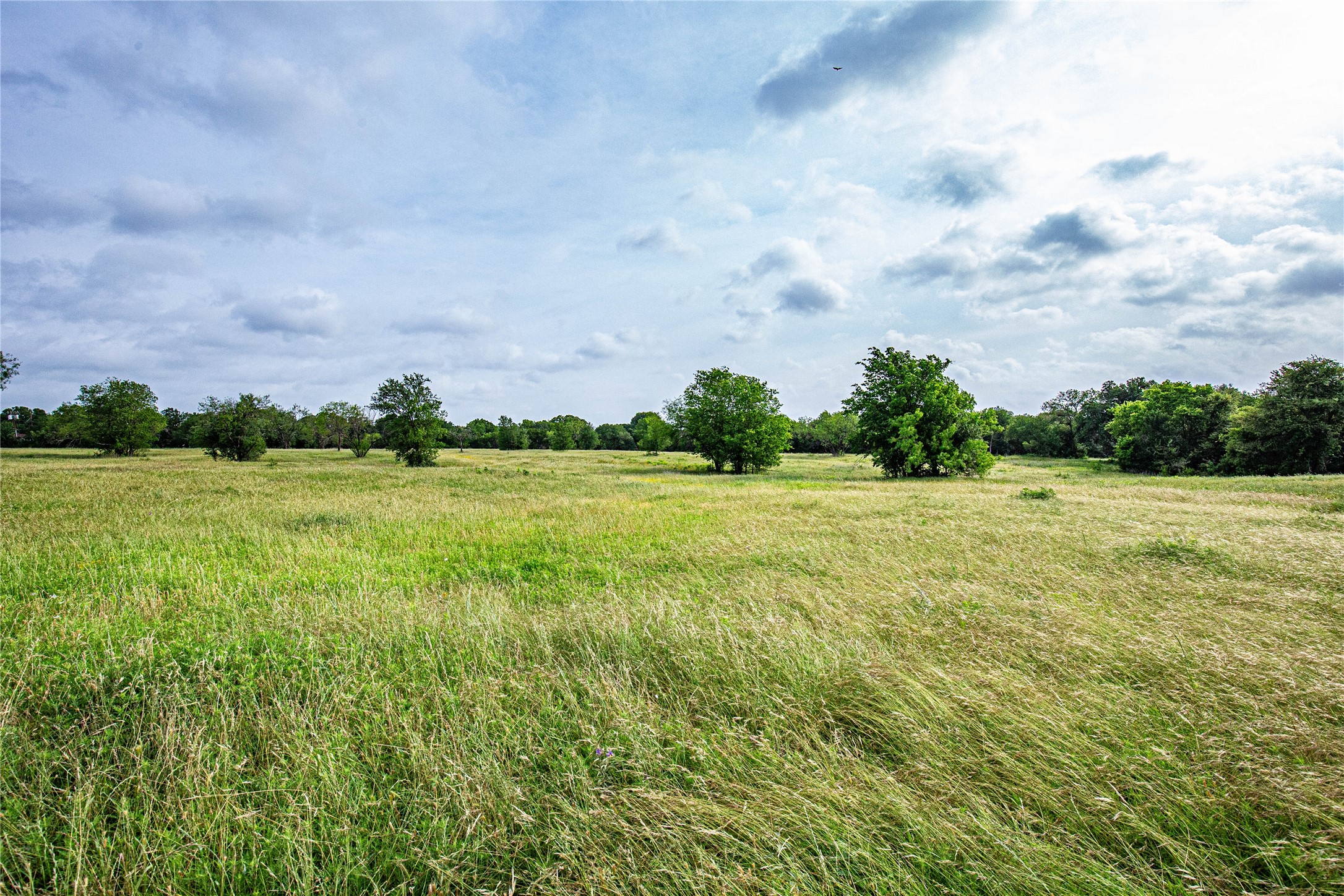 Tbd Gholson Road Waco TX 76705