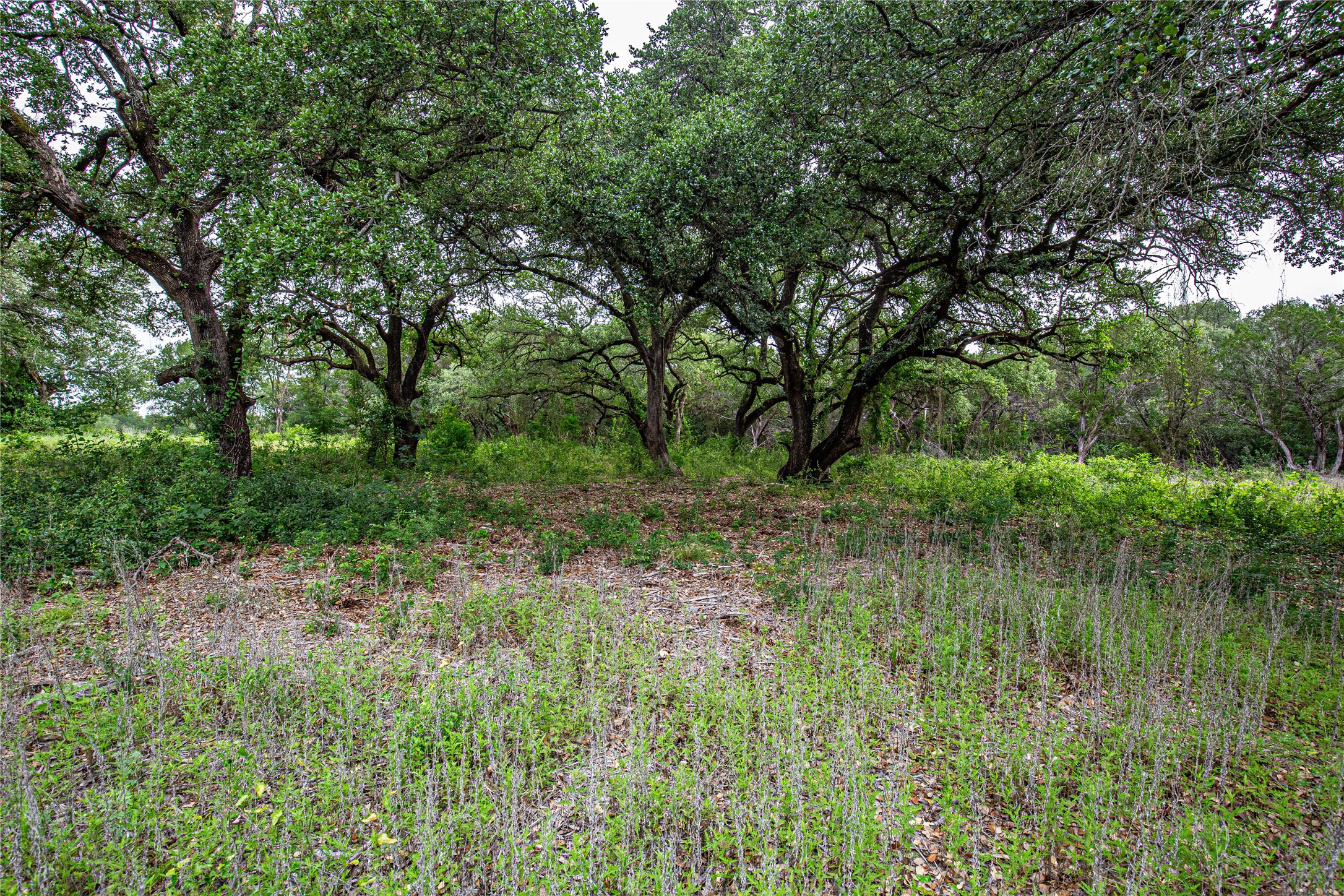 Tbd Gholson Road Waco TX 76705