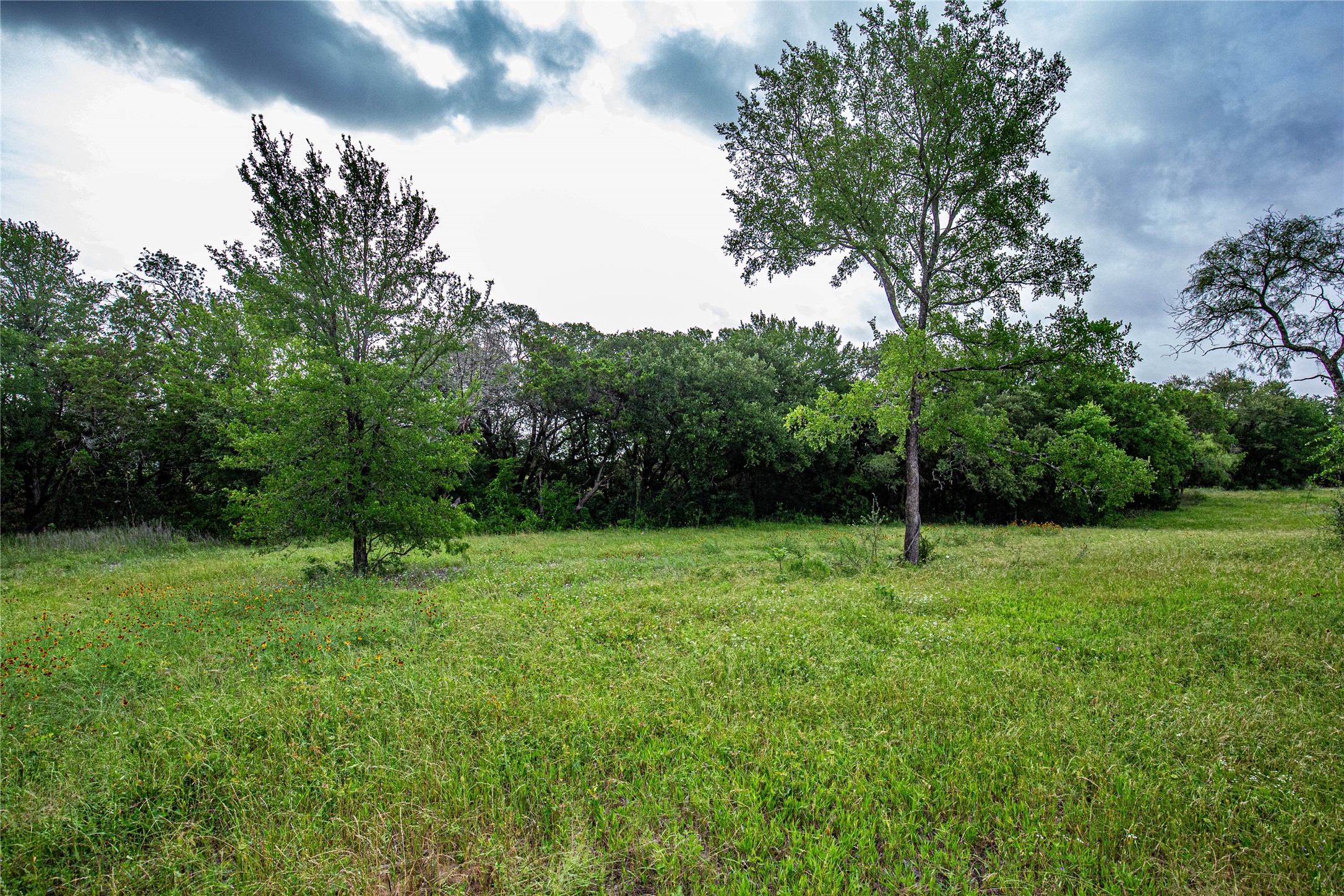 Tbd Gholson Road Waco TX 76705