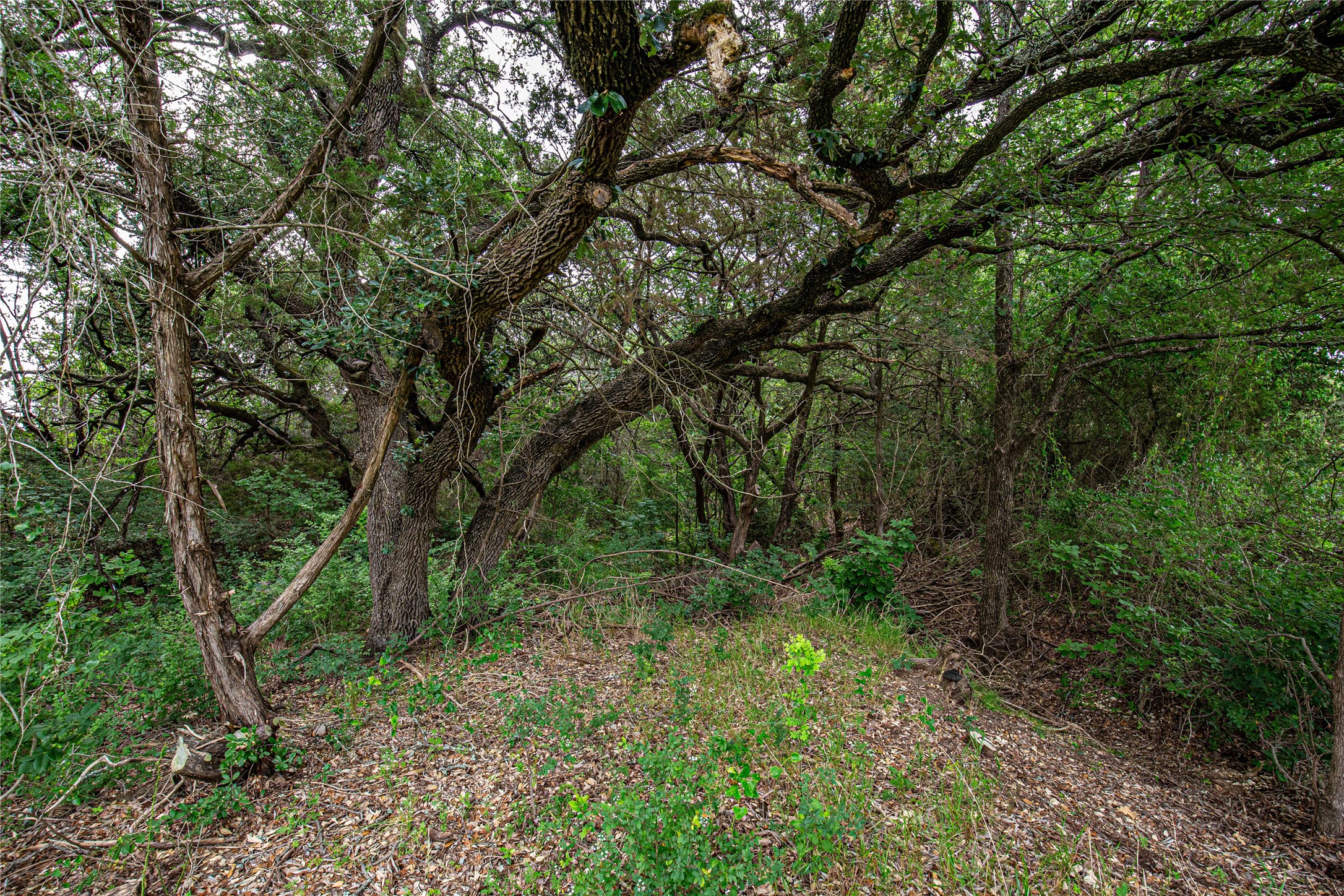 Tbd Gholson Road Waco TX 76705
