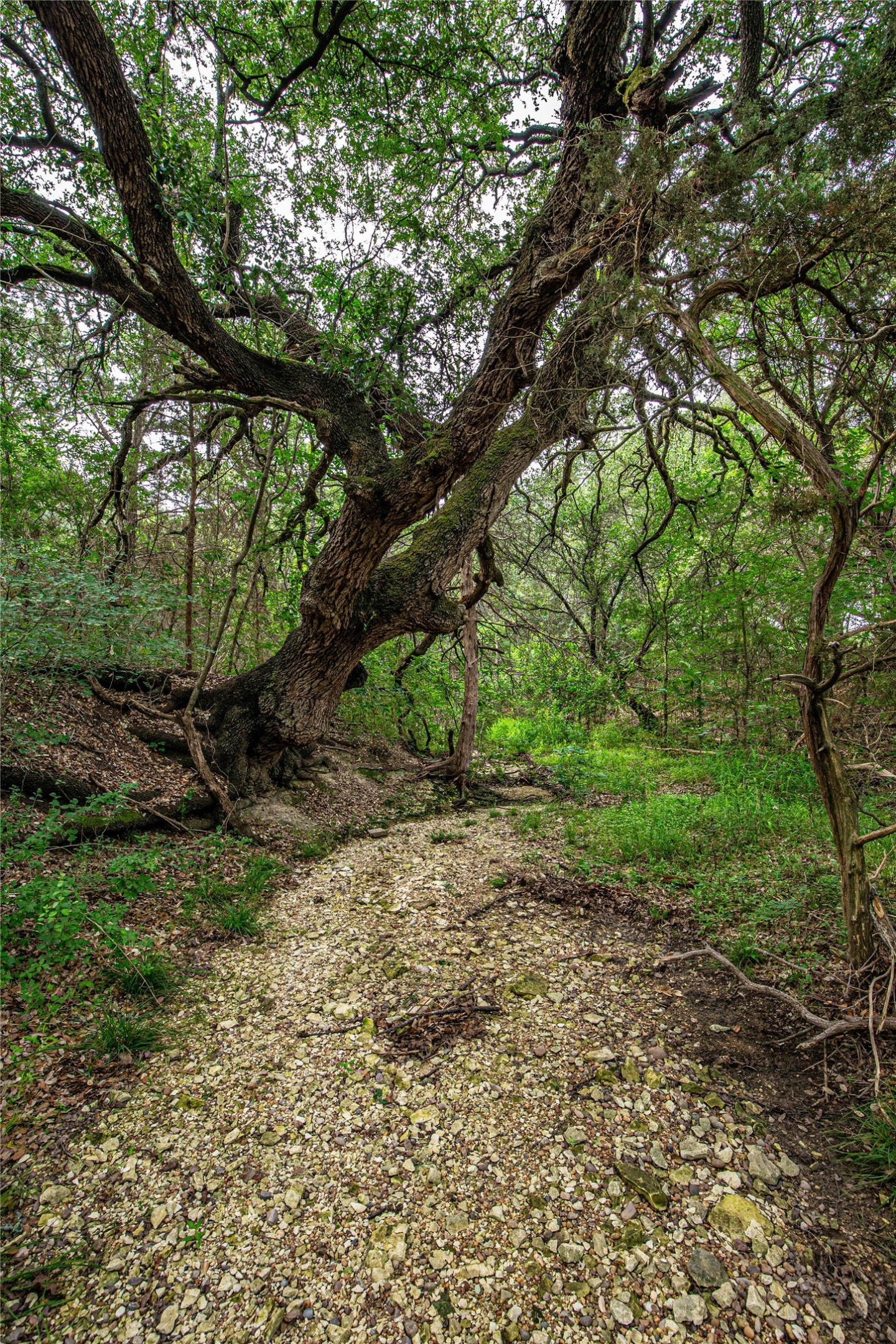 Tbd Gholson Road Waco TX 76705
