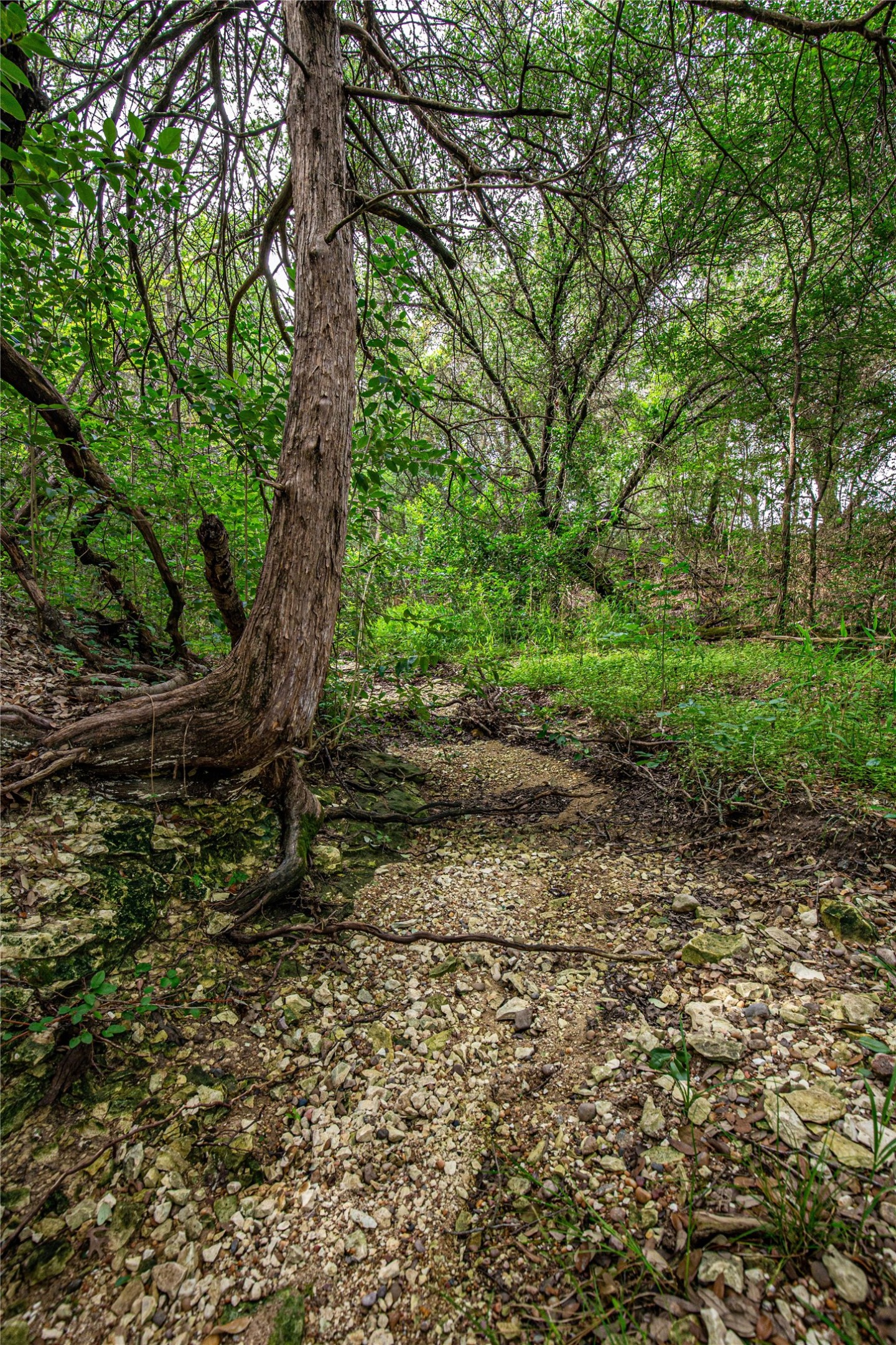 Tbd Gholson Road Waco TX 76705