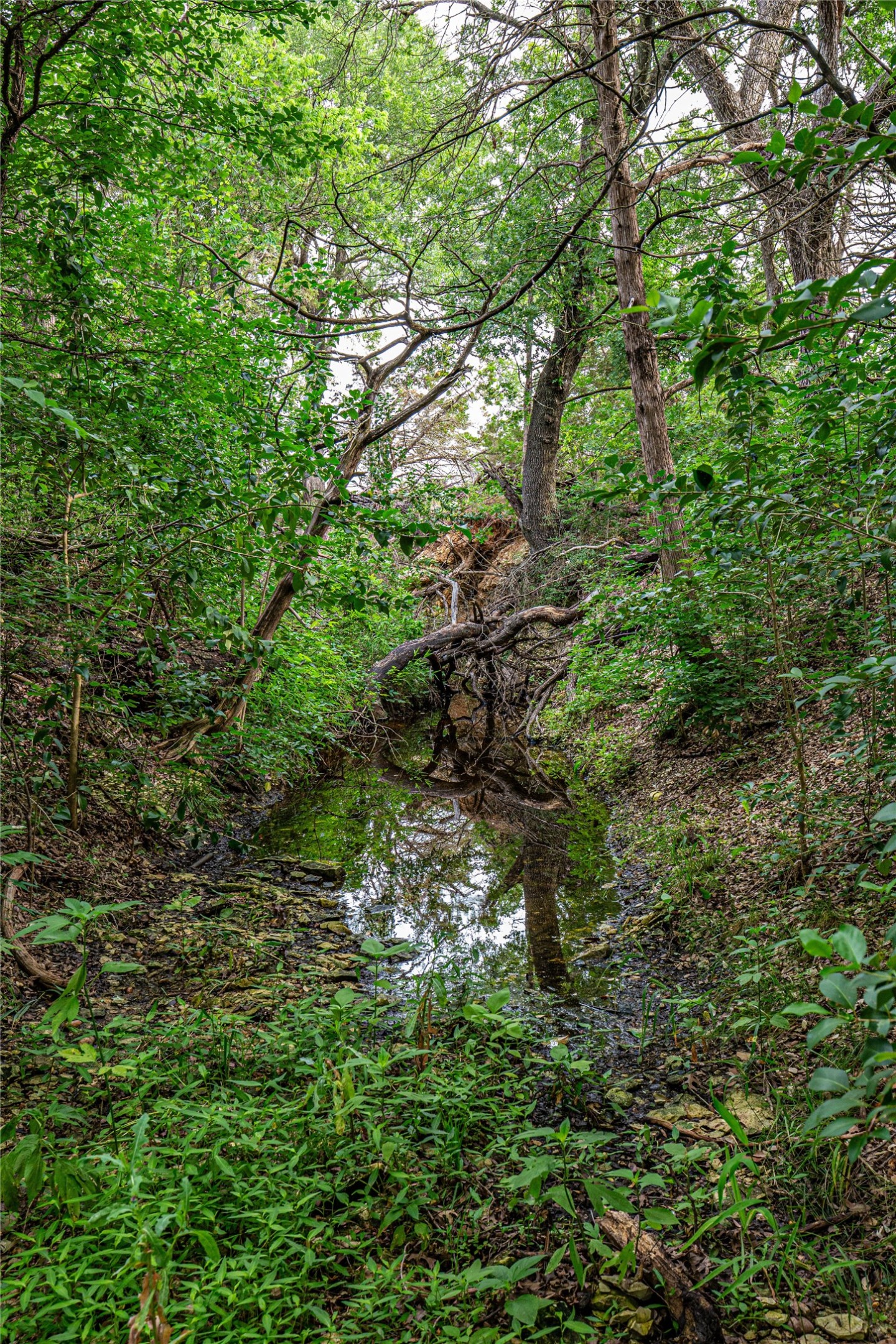 Tbd Gholson Road Waco TX 76705