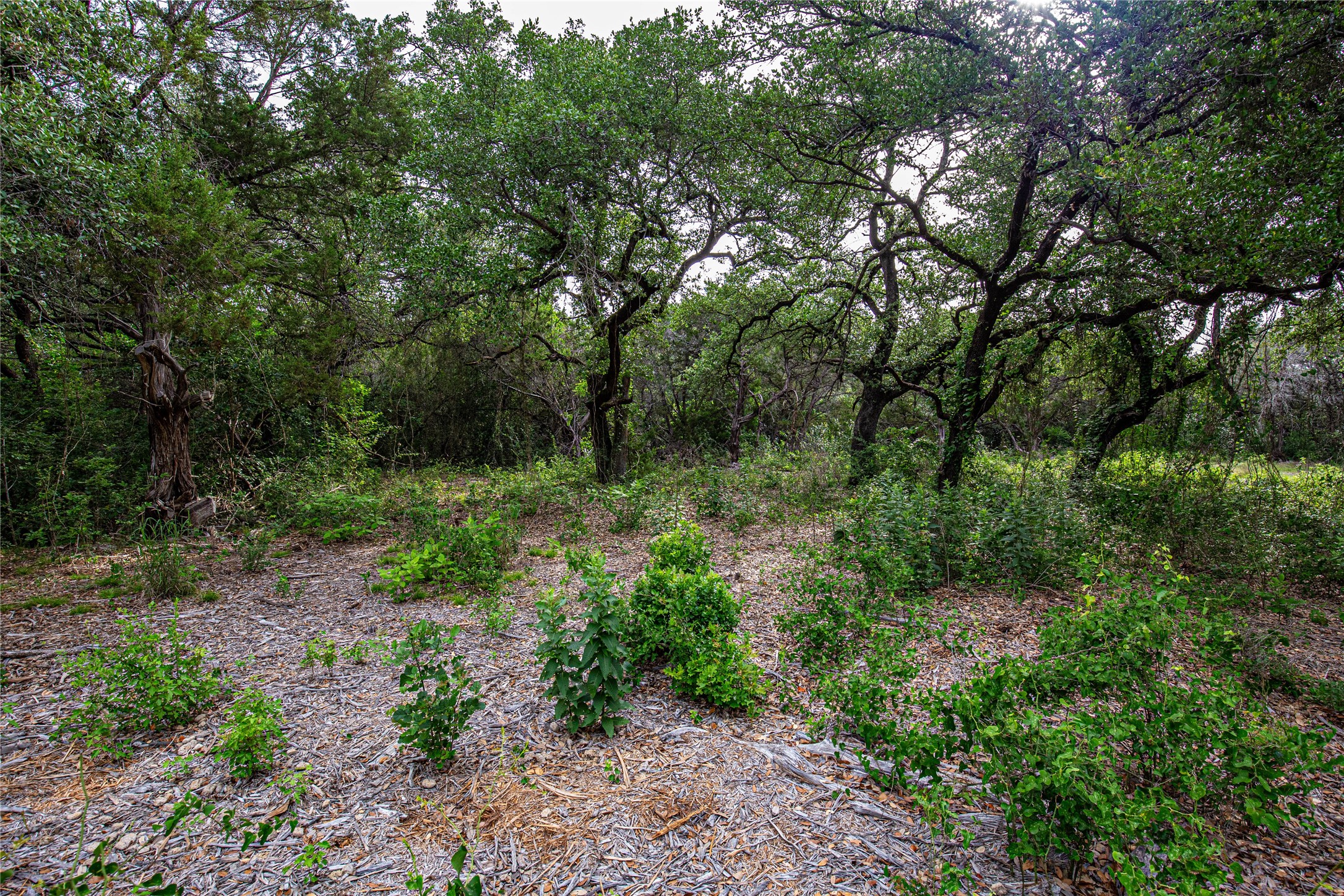 Tbd Gholson Road Waco TX 76705