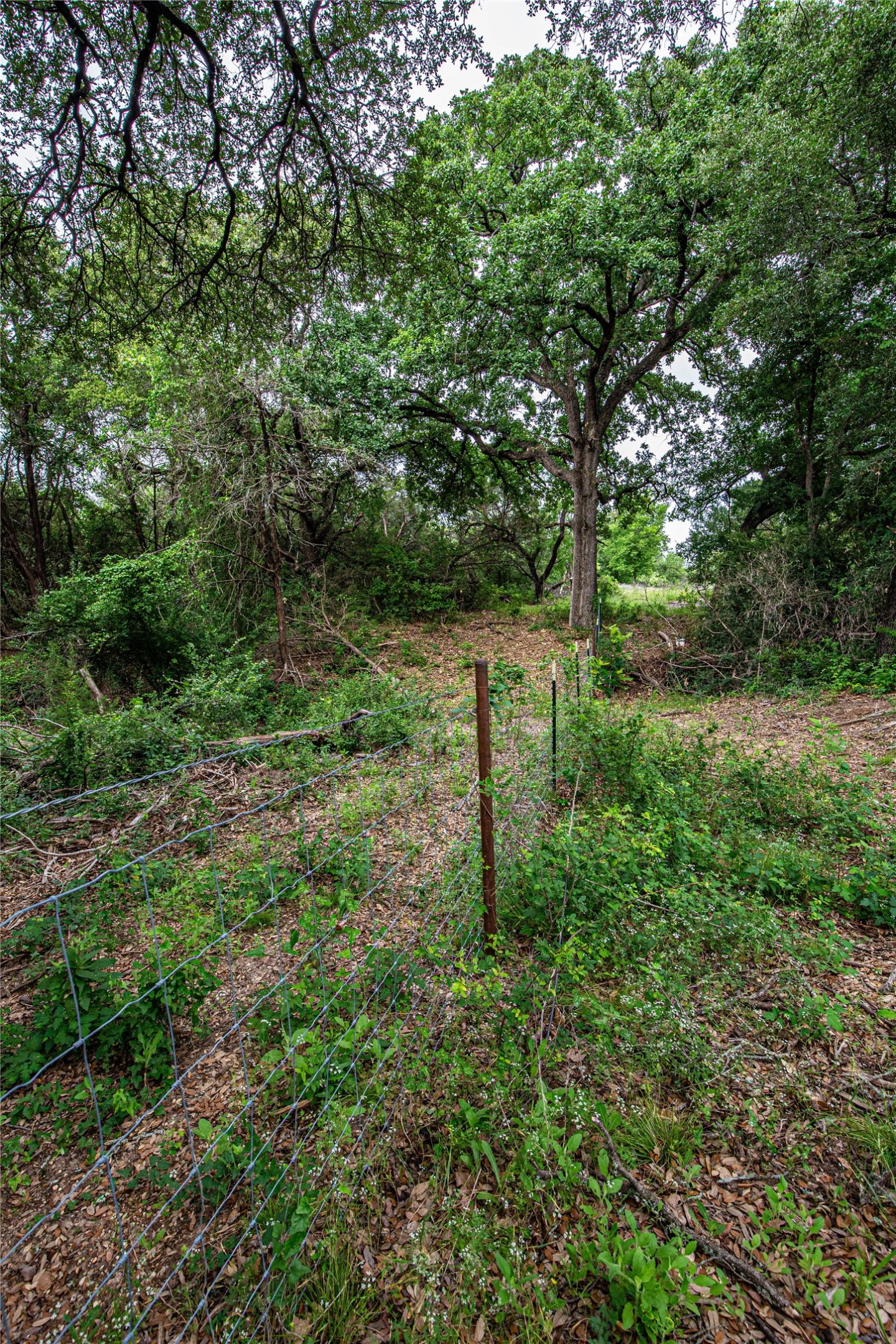 Tbd Gholson Road Waco TX 76705