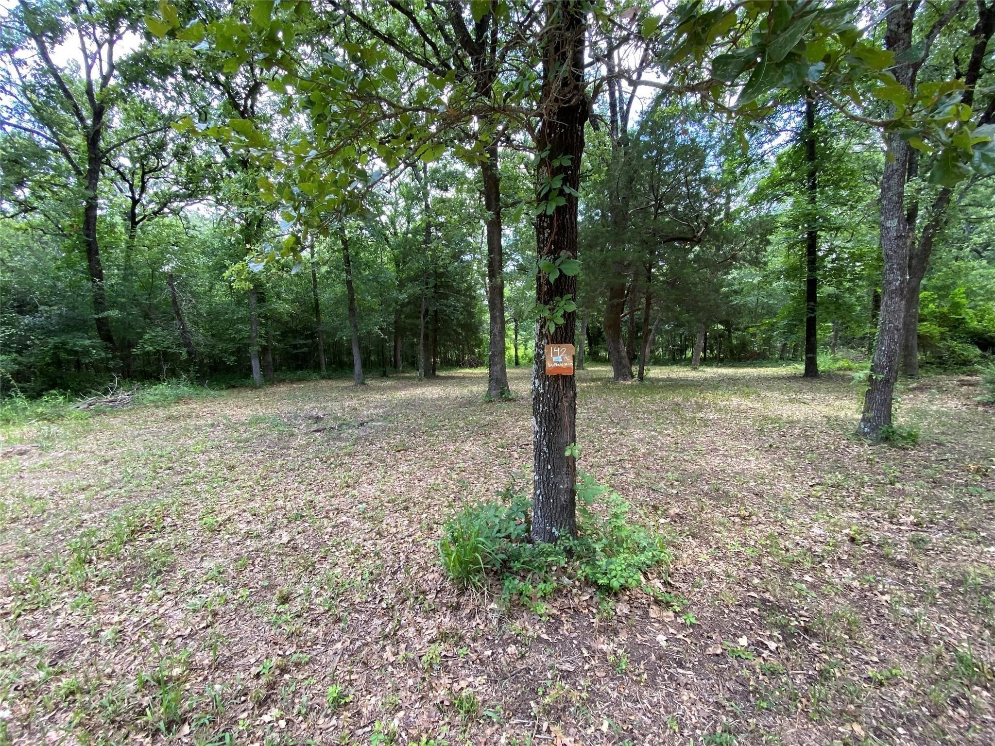 136 Buffalo Springs Road Mabank TX 75156