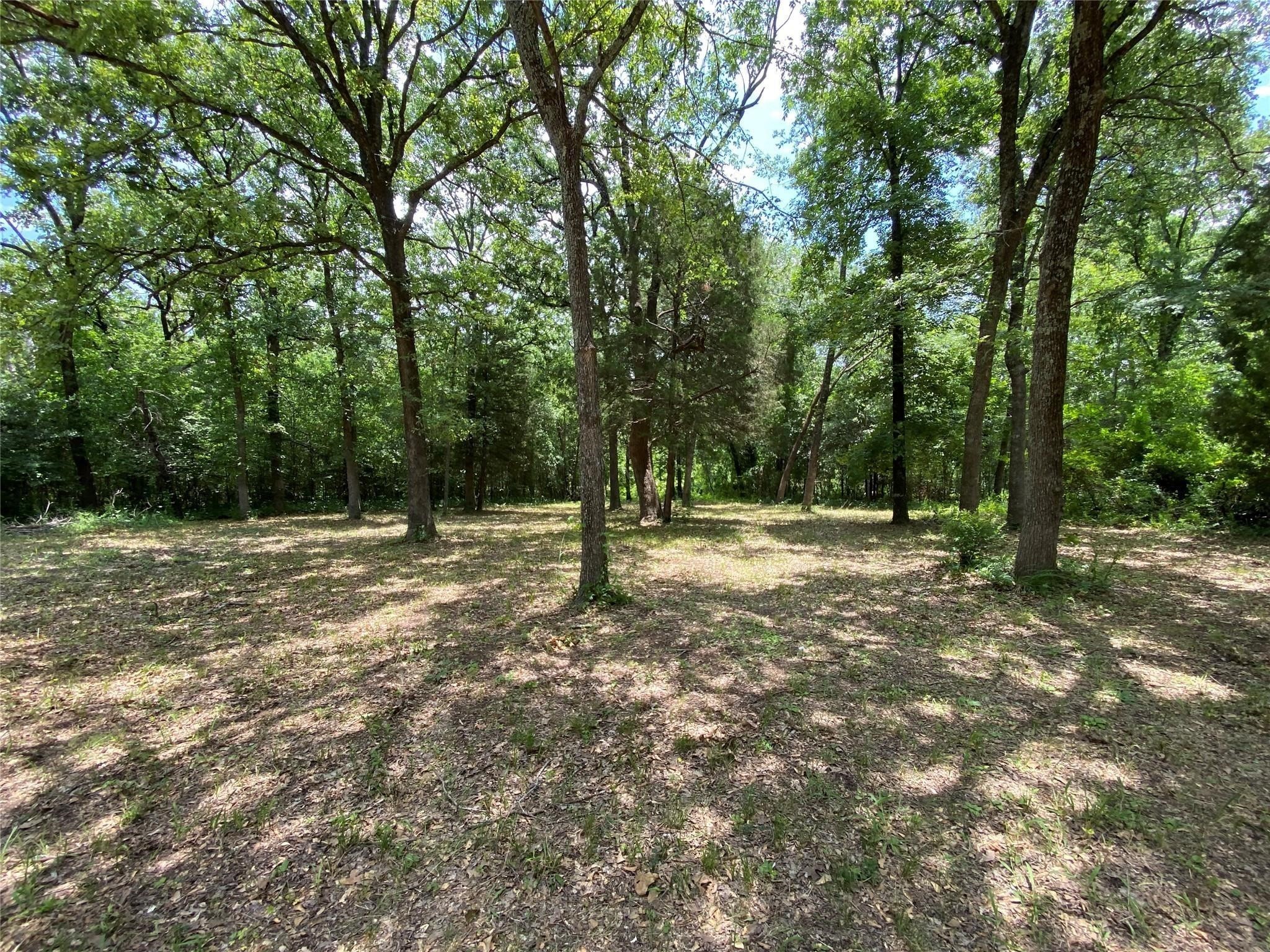136 Buffalo Springs Road Mabank TX 75156