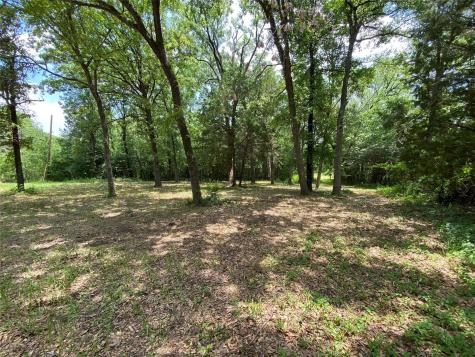 136 Buffalo Springs Road Mabank TX 75156