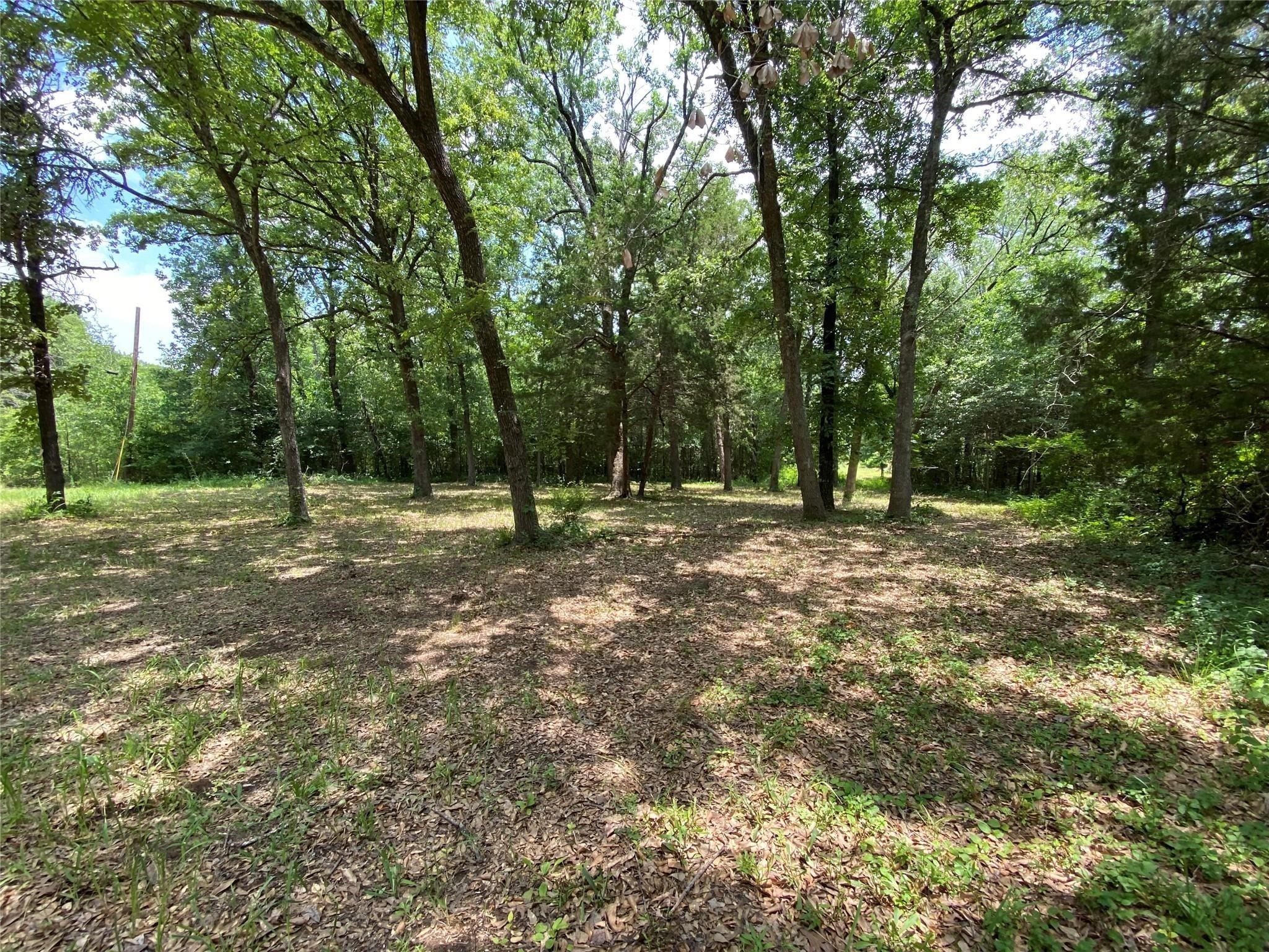 136 Buffalo Springs Road Mabank TX 75156