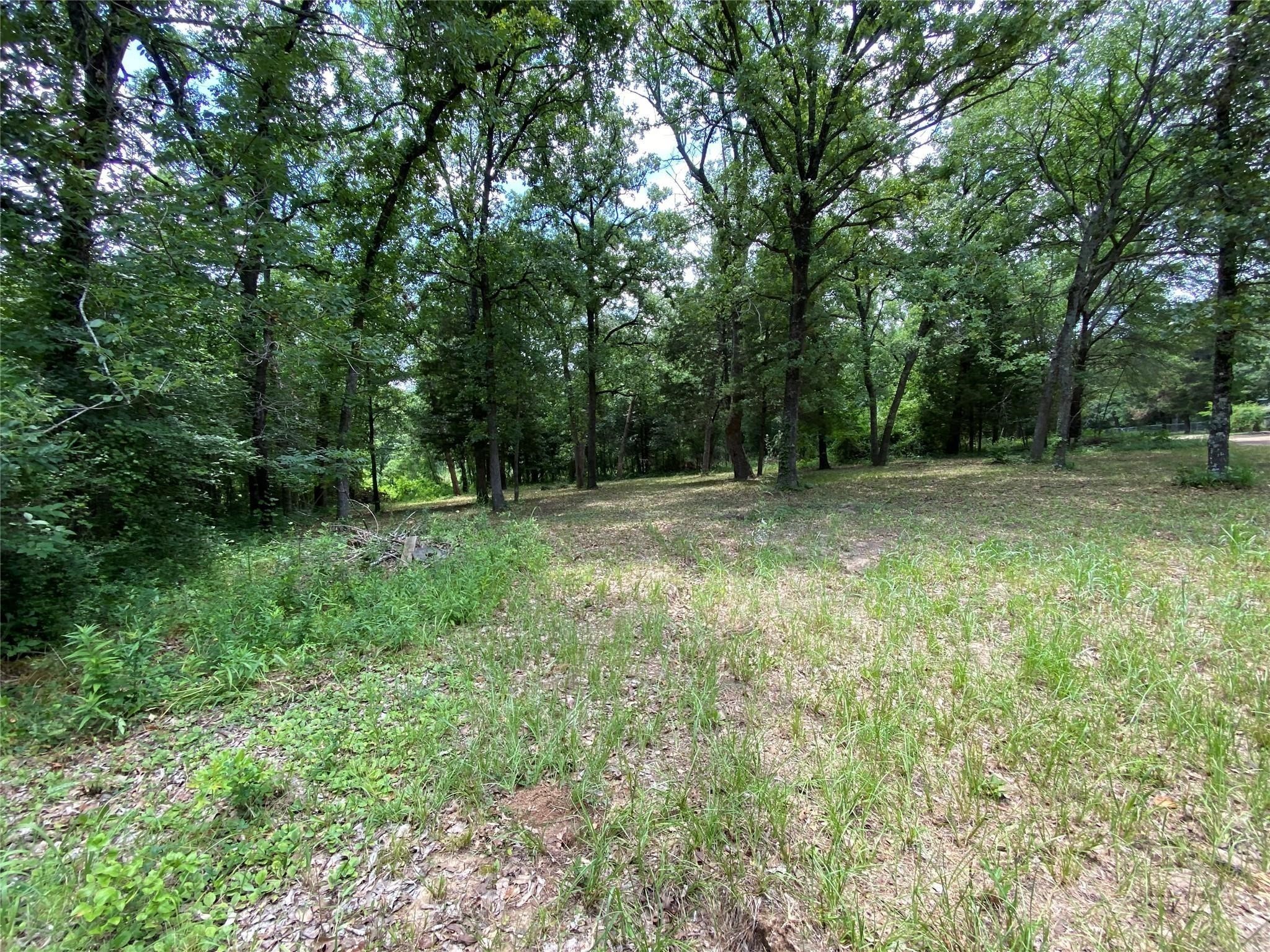 136 Buffalo Springs Road Mabank TX 75156