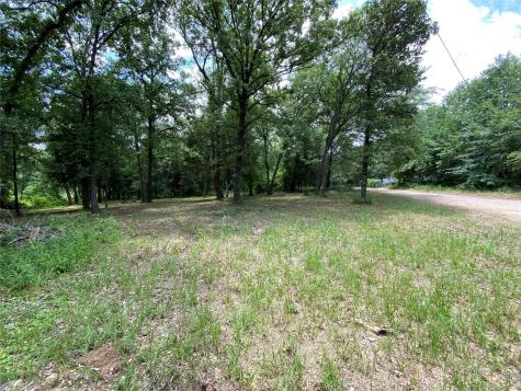 136 Buffalo Springs Road Mabank TX 75156