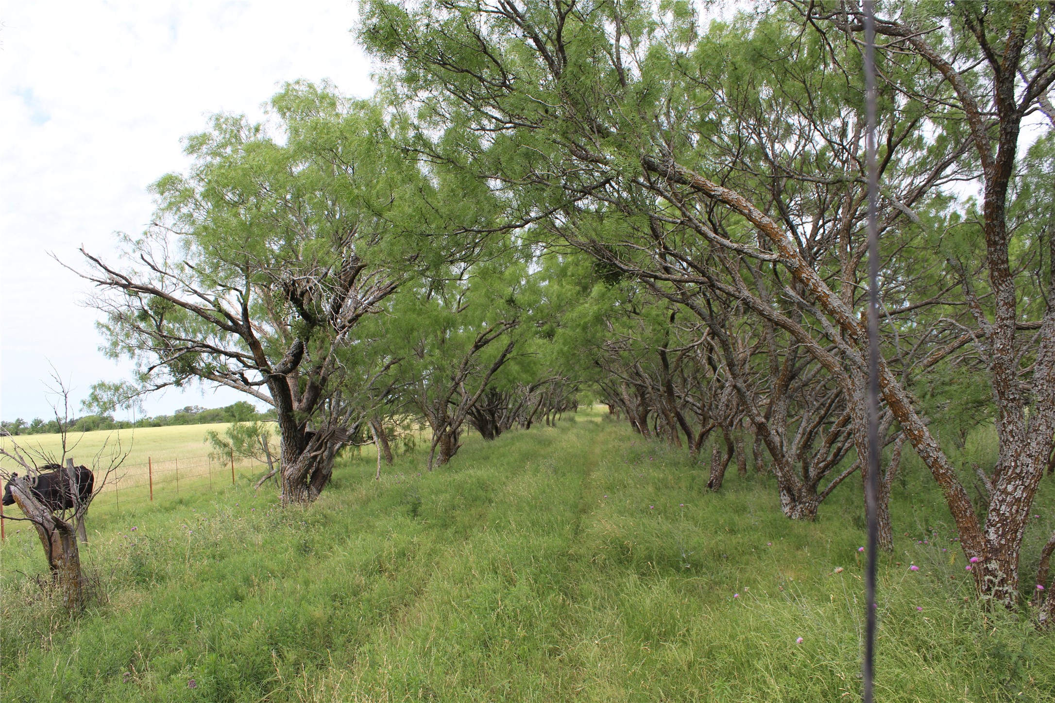 9999 County Road 334 Blanket TX 76432