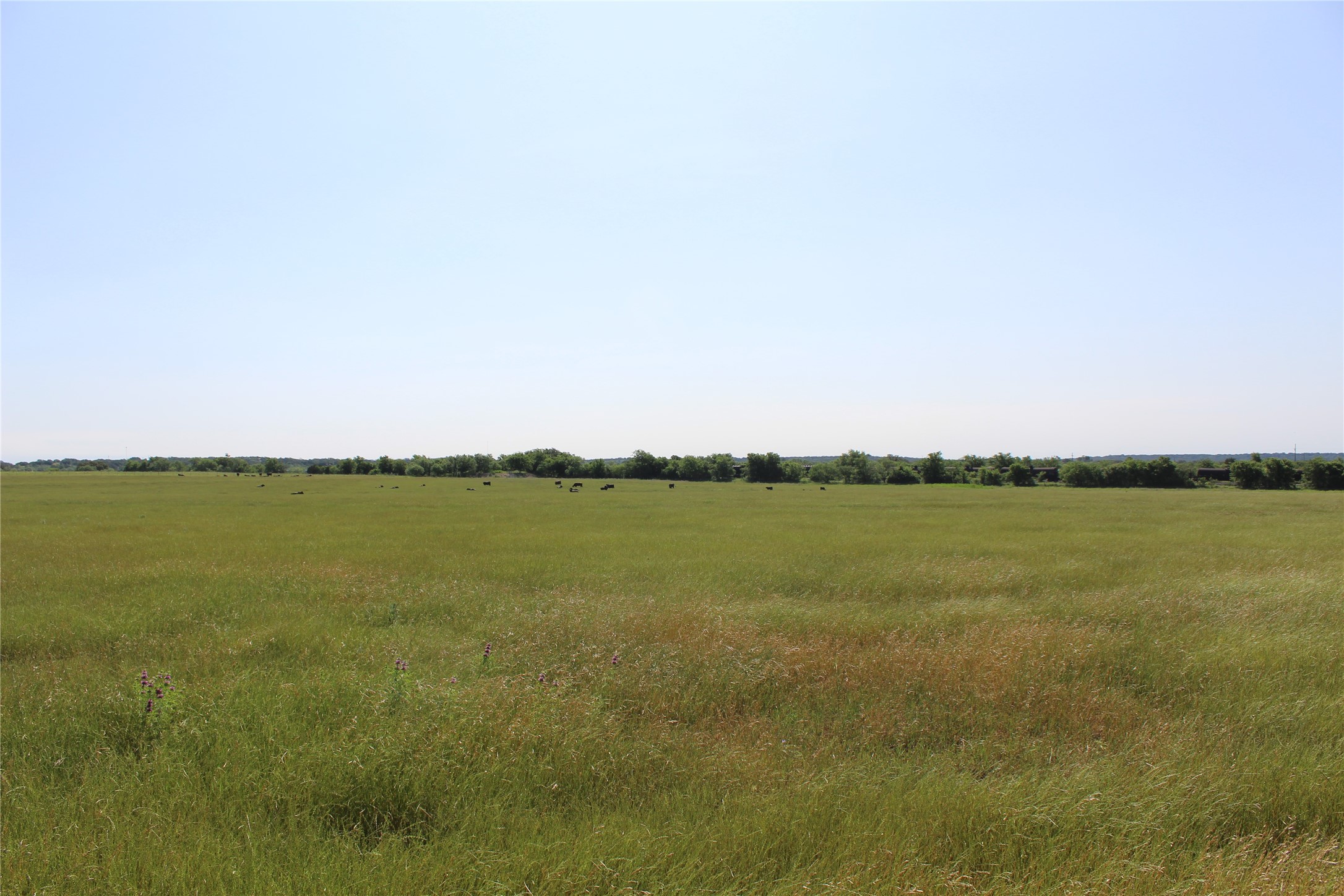 9999 County Road 334 Blanket TX 76432