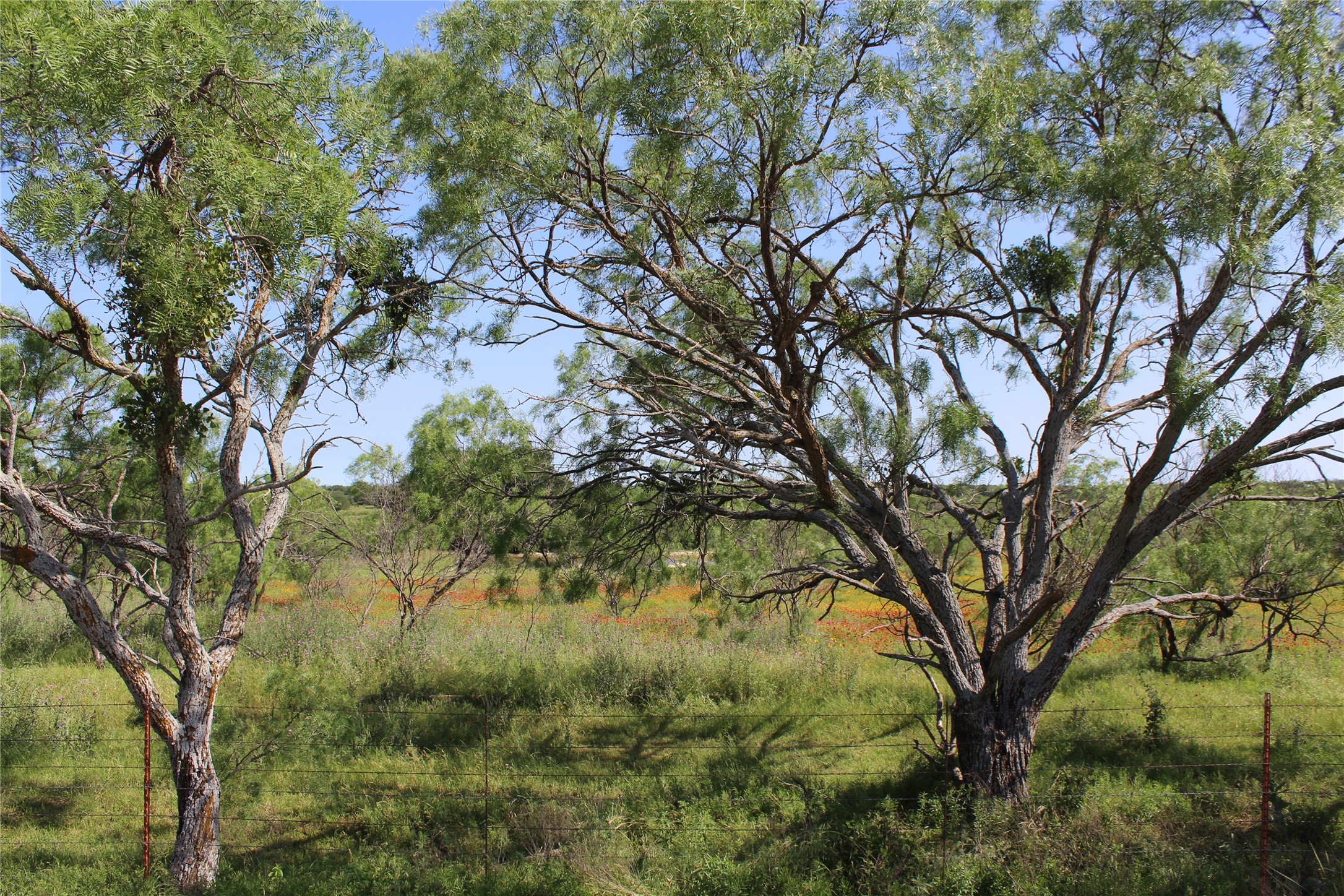 9999 County Road 334 Blanket TX 76432