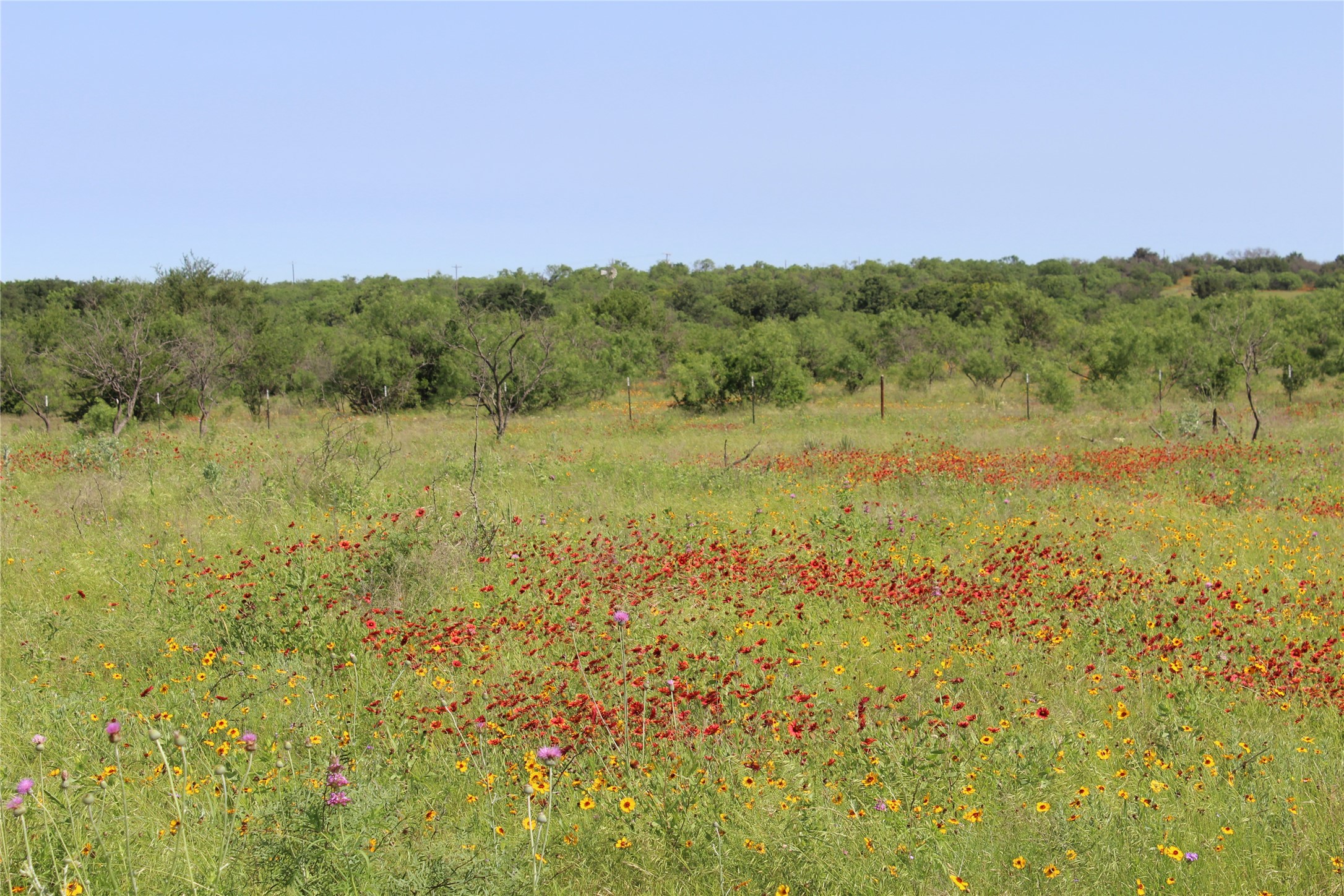9999 County Road 334 Blanket TX 76432