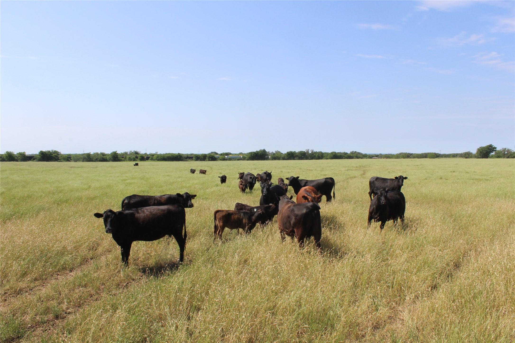 9999 County Road 334 Blanket TX 76432
