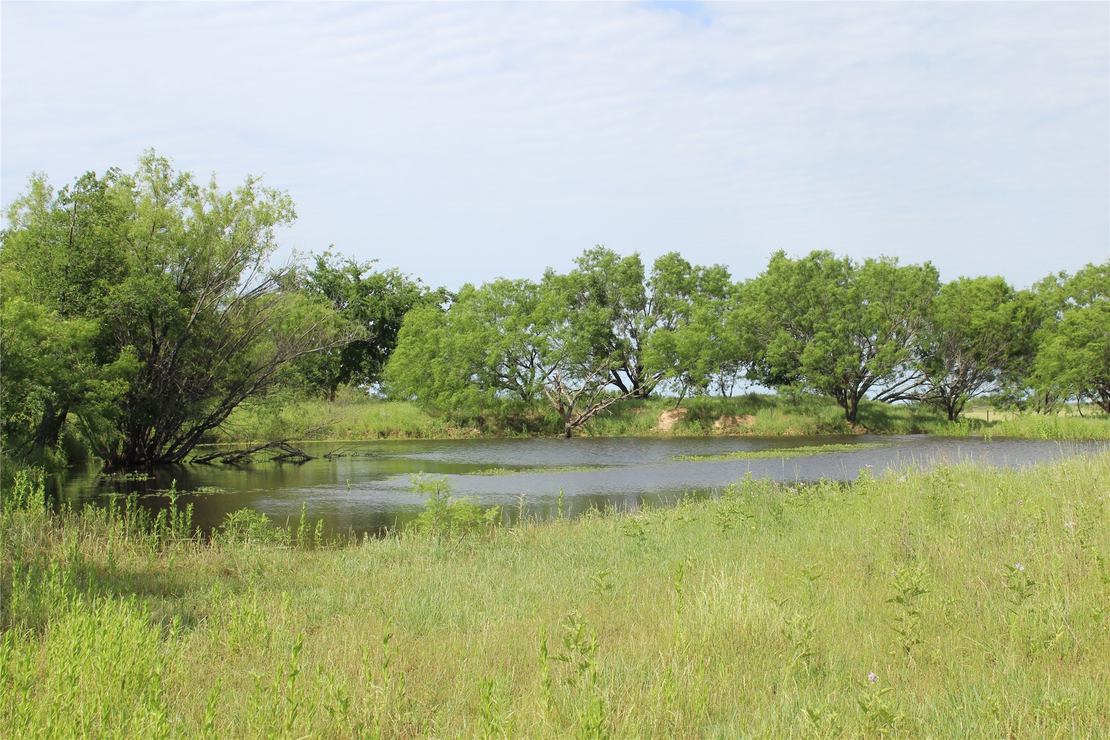 9999 County Road 334 Blanket TX 76432