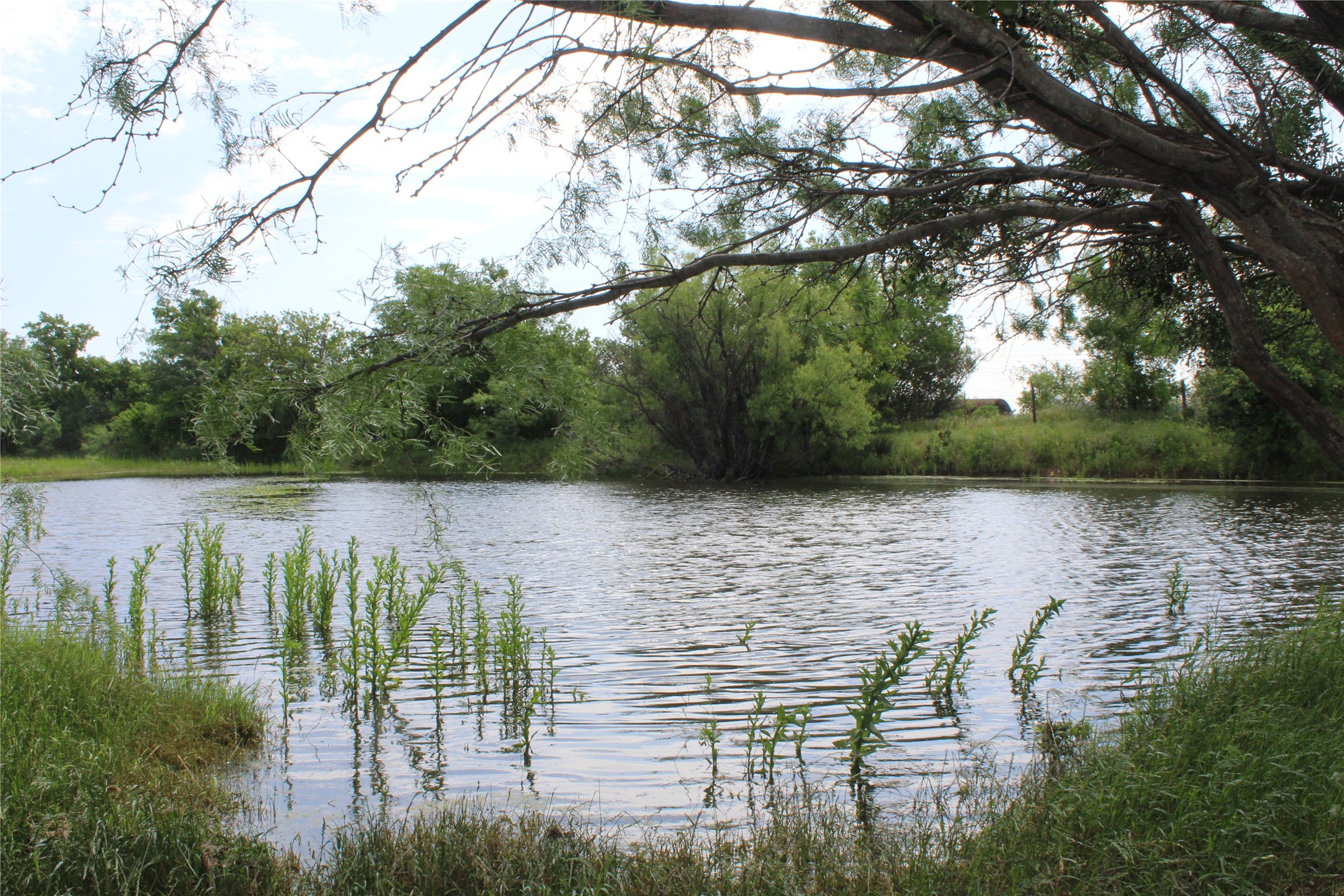 9999 County Road 334 Blanket TX 76432