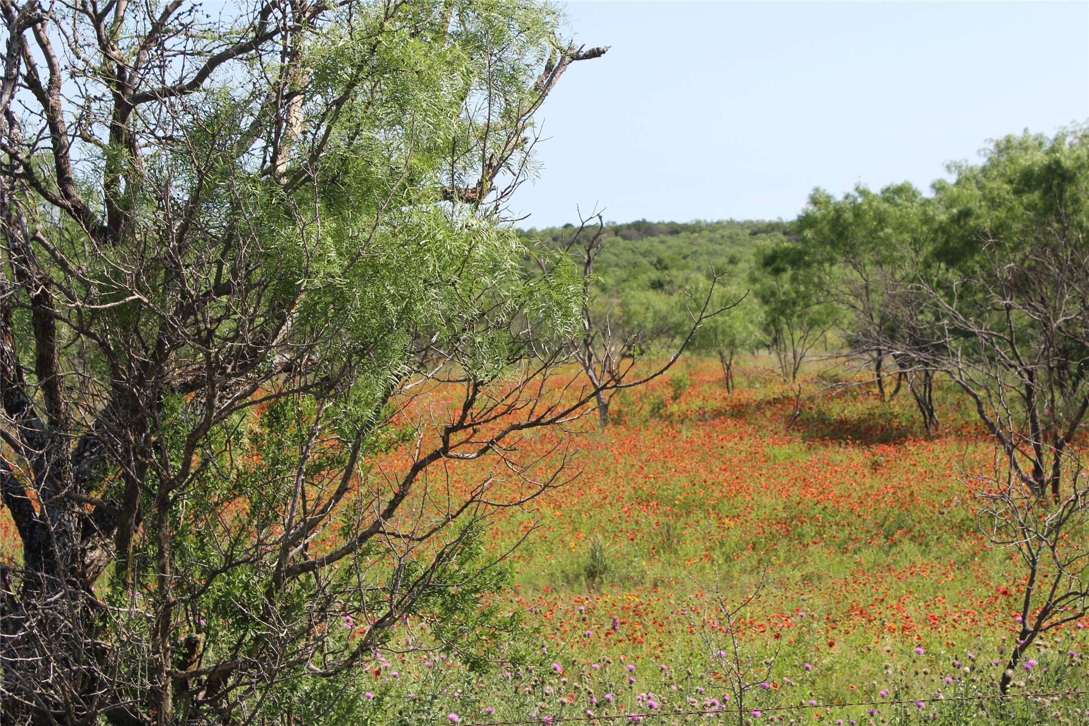 9999 County Road 334 Blanket TX 76432