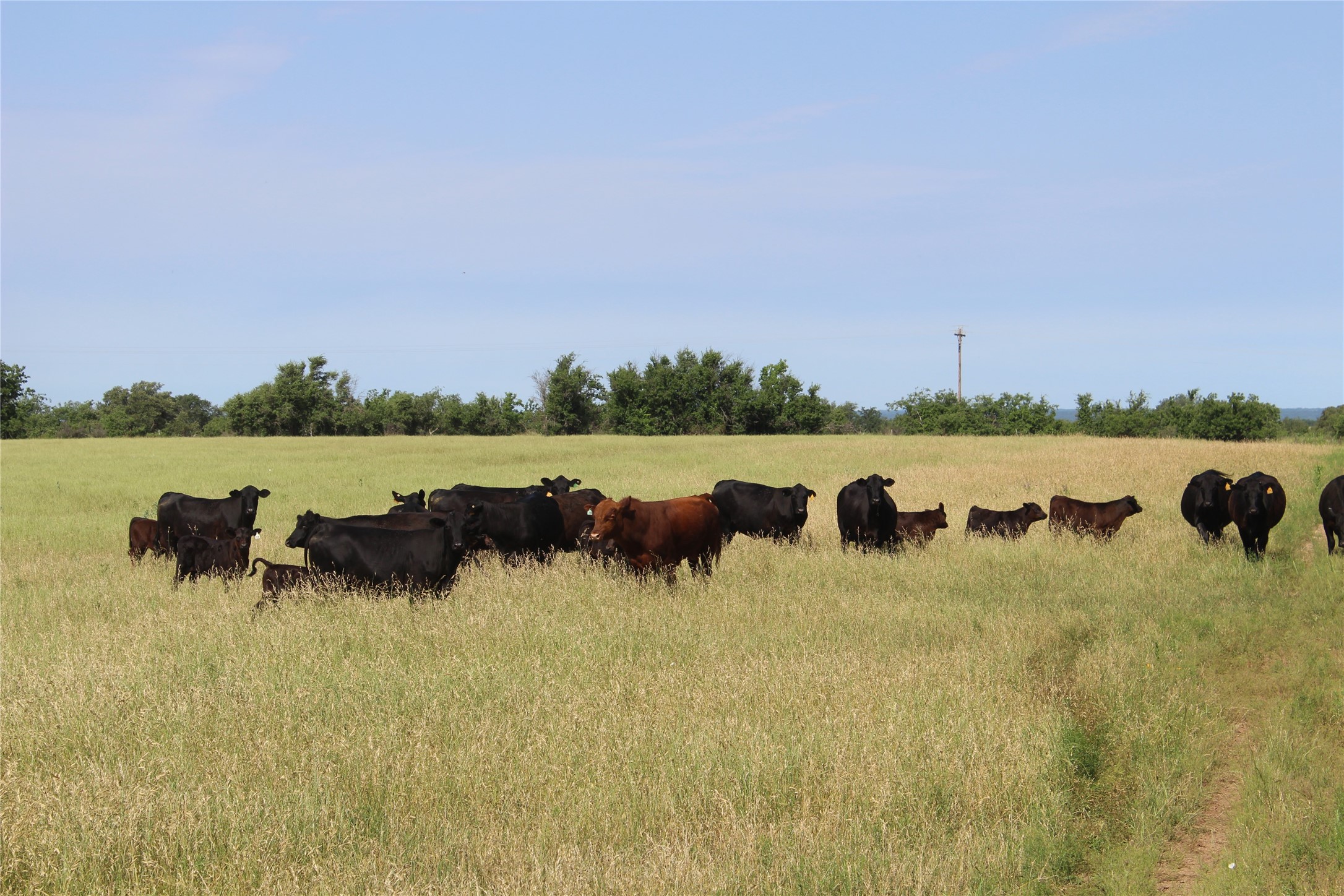 9999 County Road 334 Blanket TX 76432