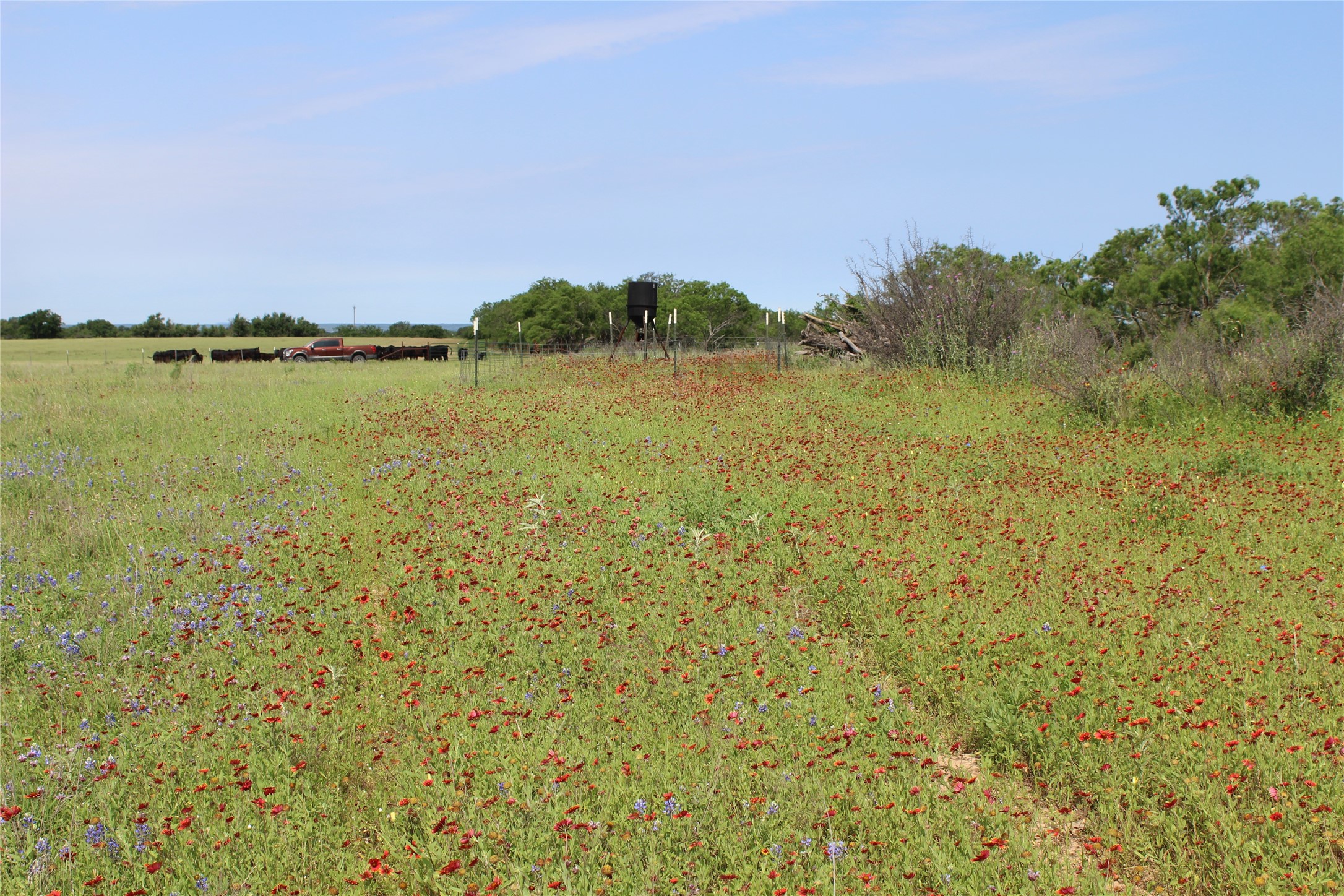 9999 County Road 334 Blanket TX 76432