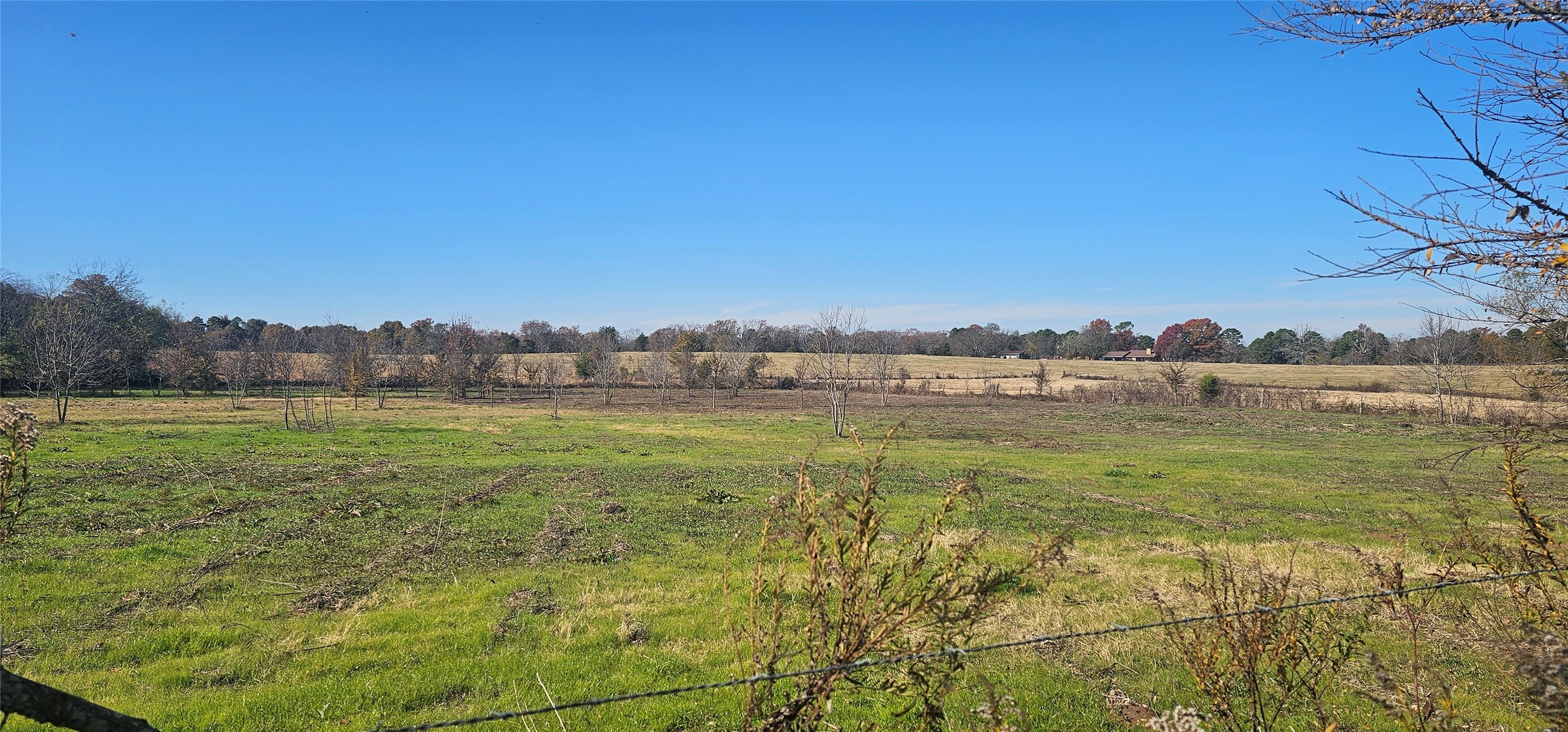 3011 Vz County Road 4714 Ben Wheeler TX 75754