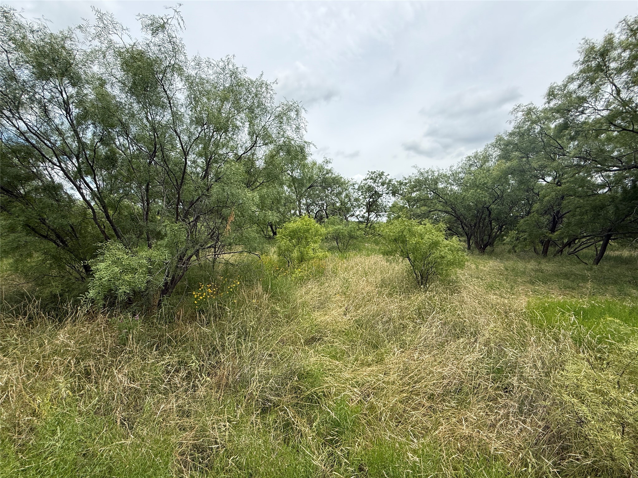 Tbd Coppic Ranch Road Brownwood TX 76801