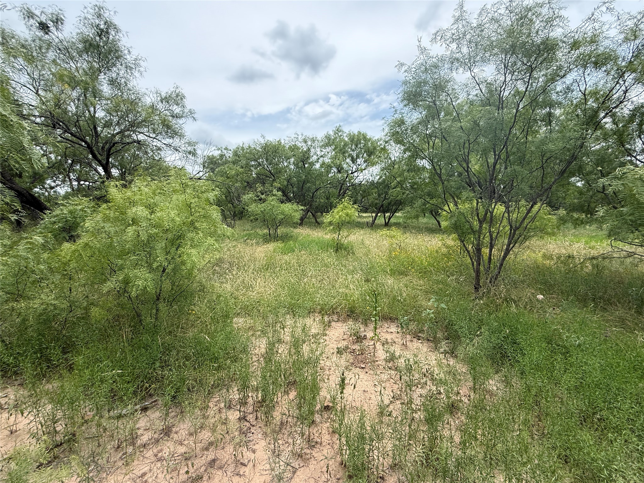 Tbd Coppic Ranch Road Brownwood TX 76801