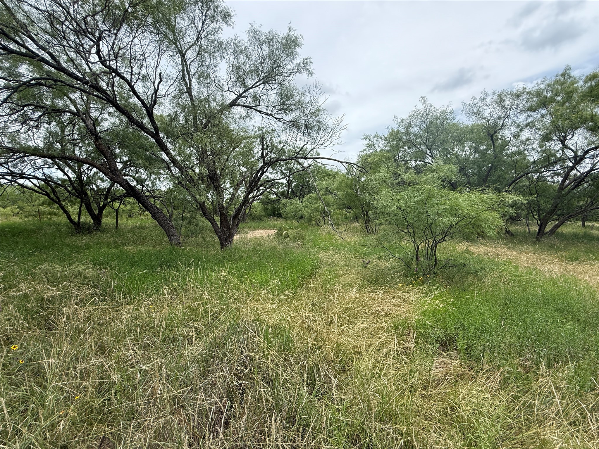 Tbd Coppic Ranch Road Brownwood TX 76801