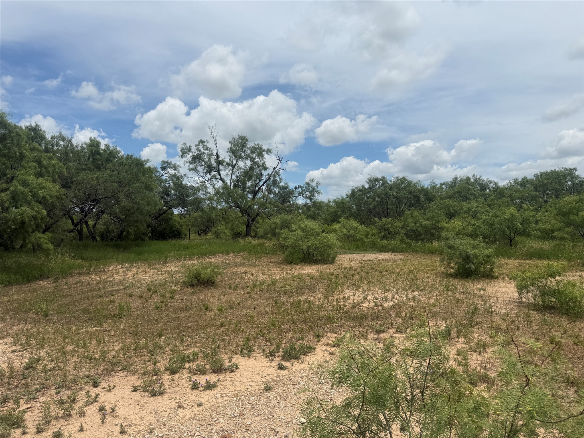 Tbd Coppic Ranch Road Brownwood TX 76801