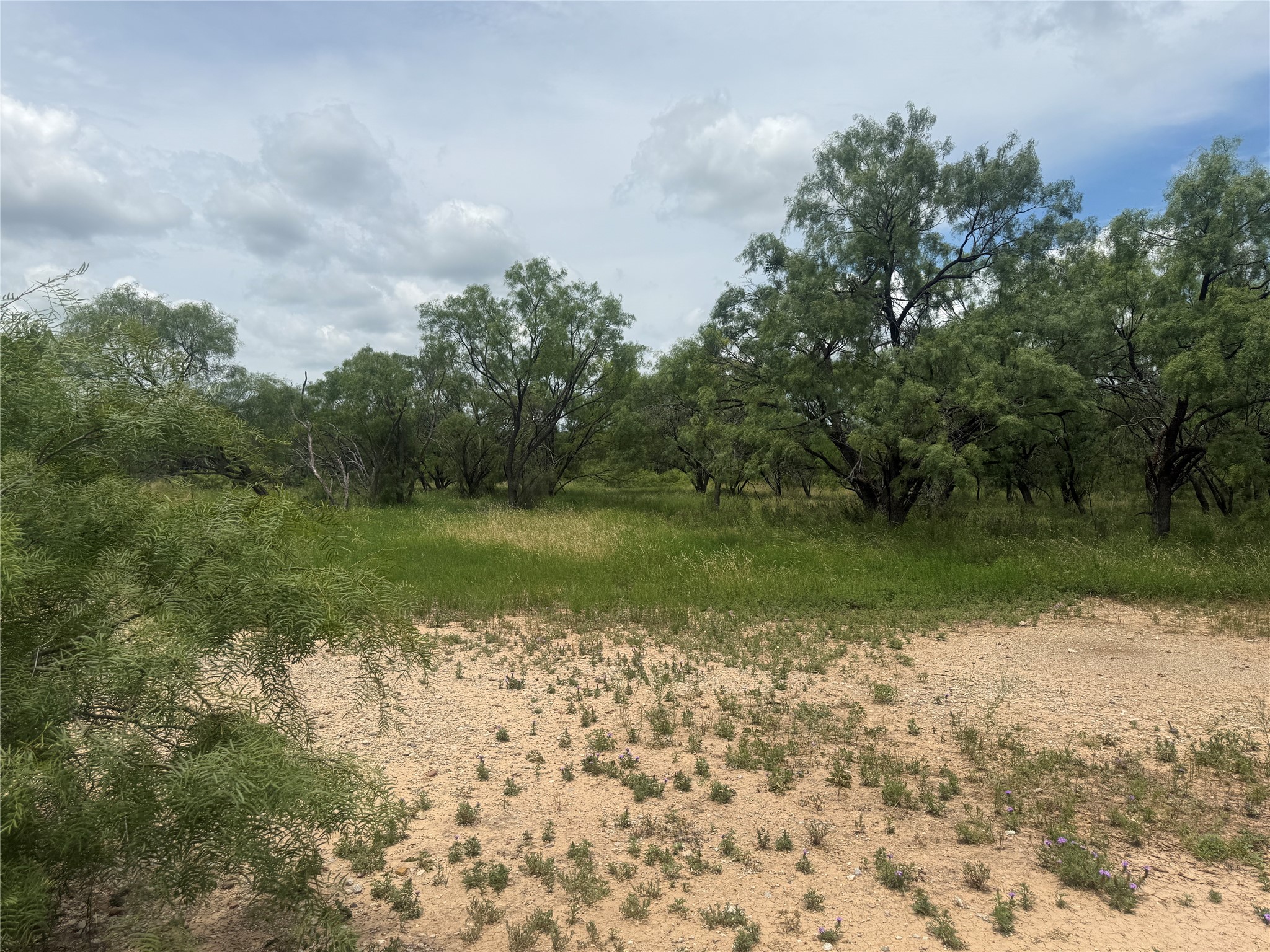 Tbd Coppic Ranch Road Brownwood TX 76801