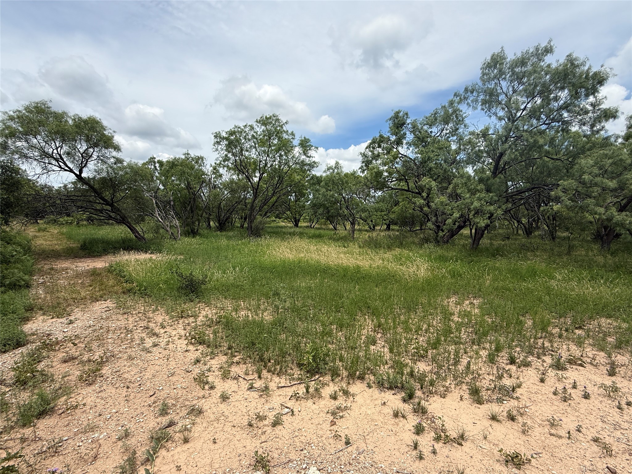 Tbd Coppic Ranch Road Brownwood TX 76801