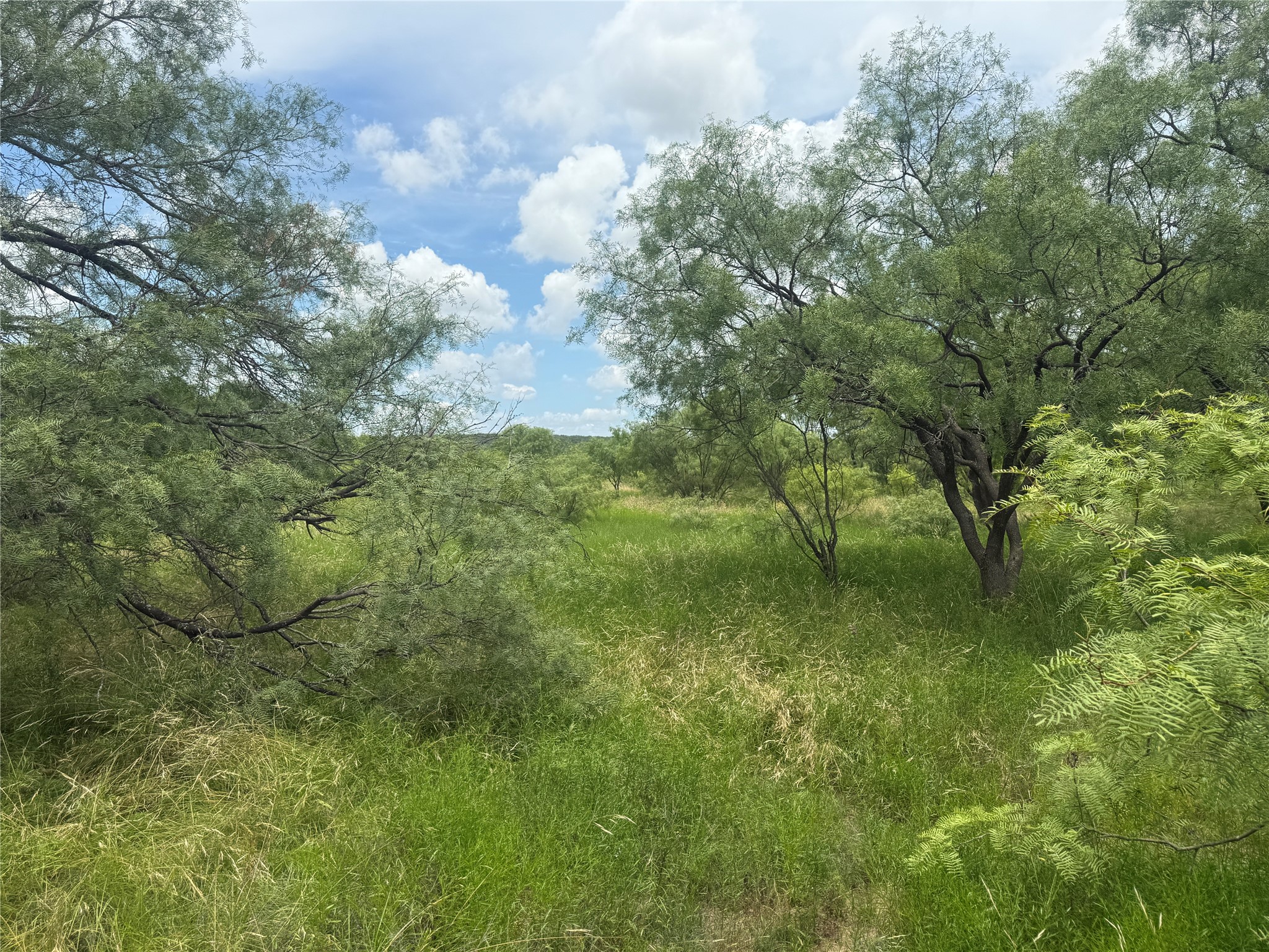 Tbd Coppic Ranch Road Brownwood TX 76801
