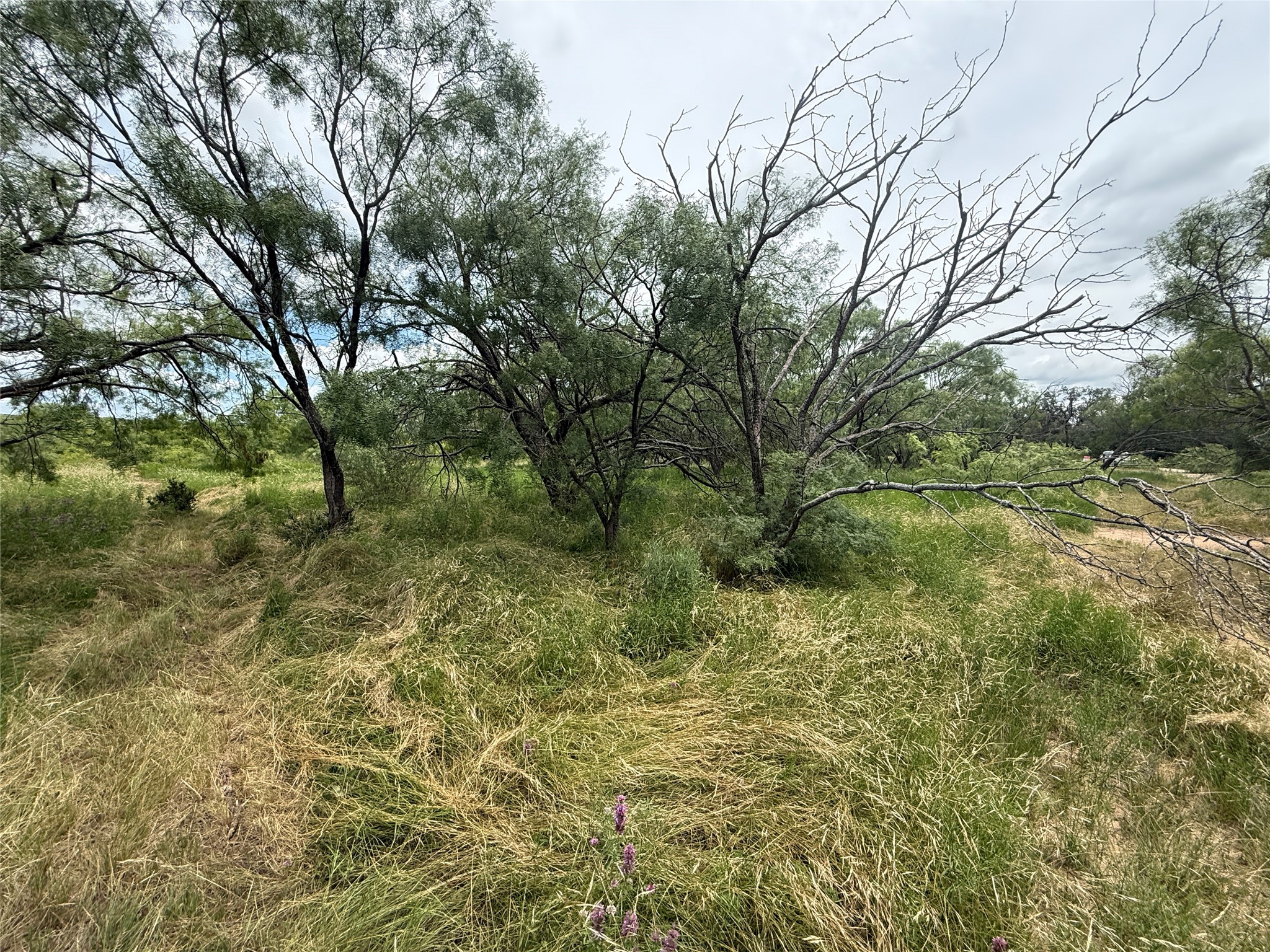 Tbd Coppic Ranch Road Brownwood TX 76801