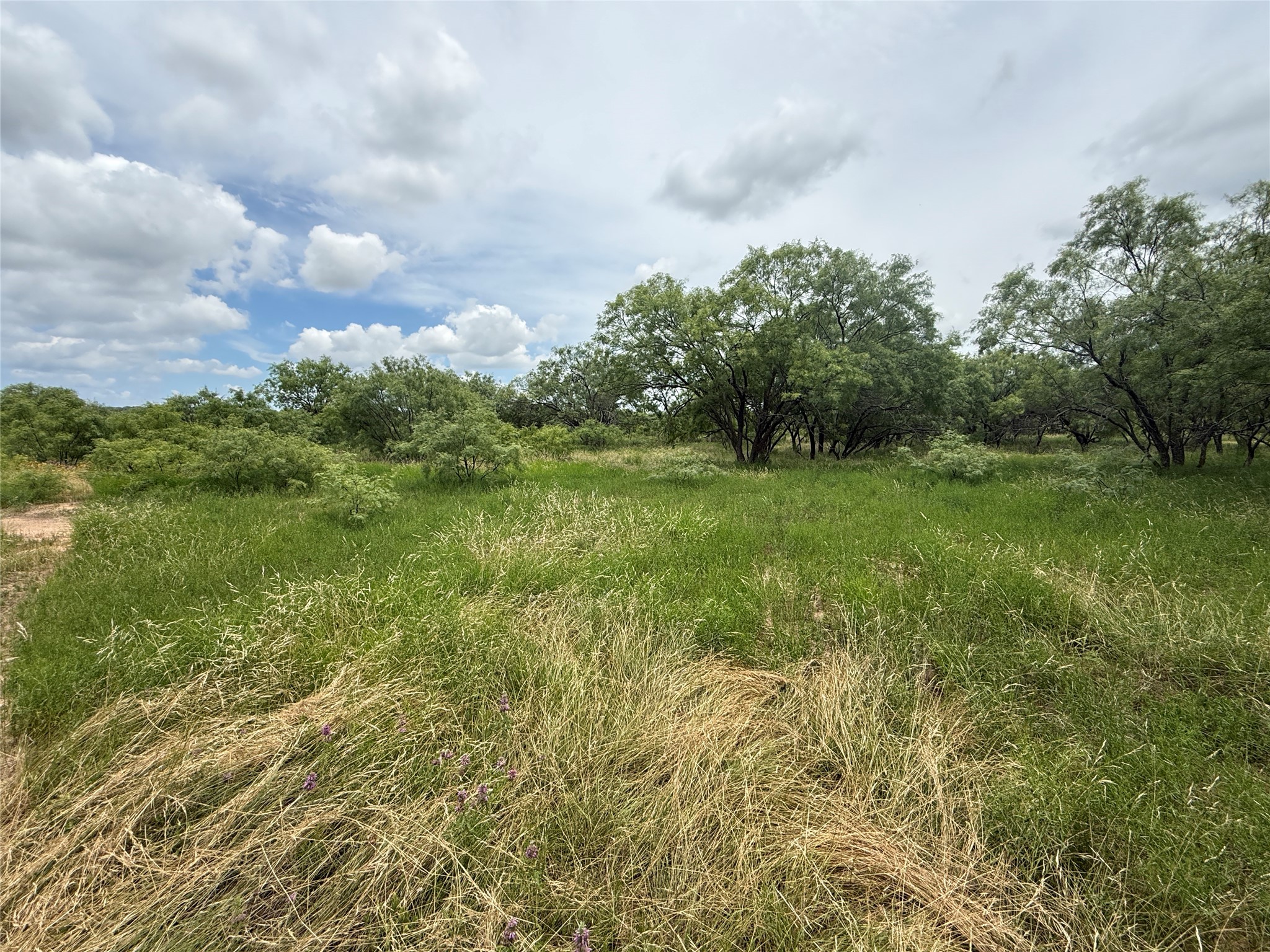 Tbd Coppic Ranch Road Brownwood TX 76801