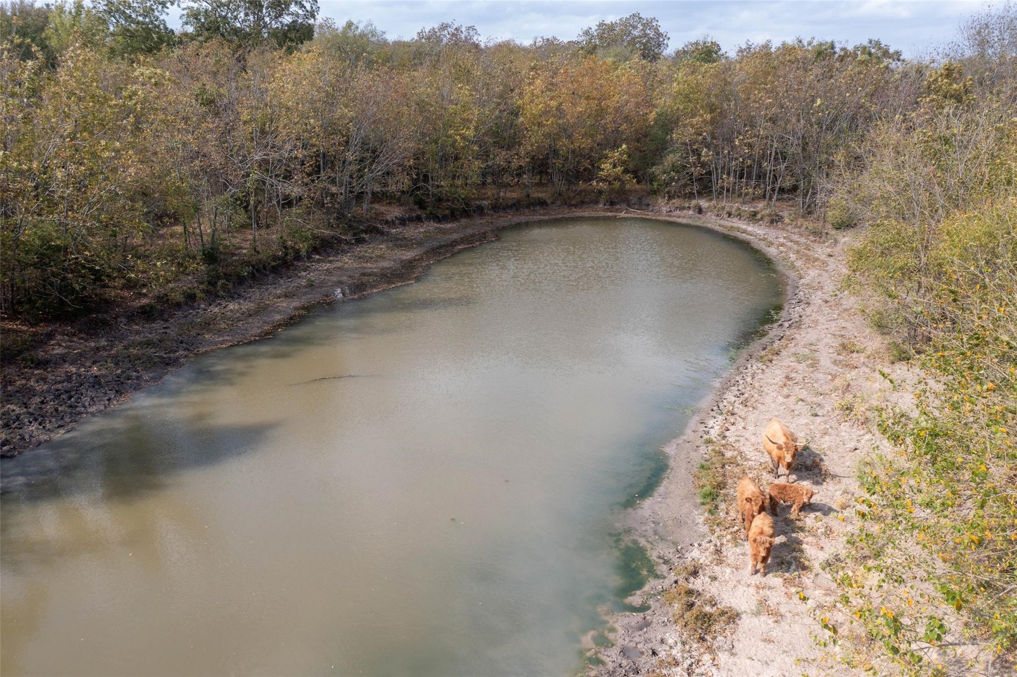 4081 Fm 2736 Campbell TX 75422