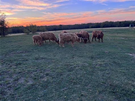 4081 Fm 2736 Campbell TX 75422