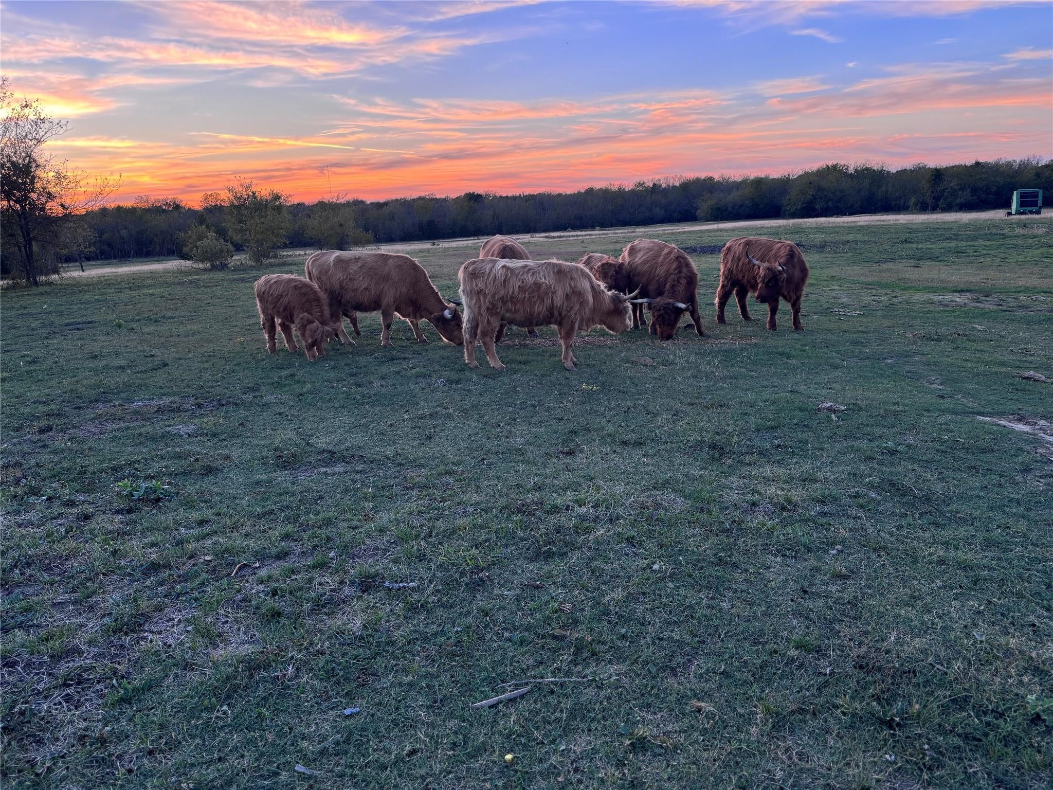 4081 Fm 2736 Campbell TX 75422