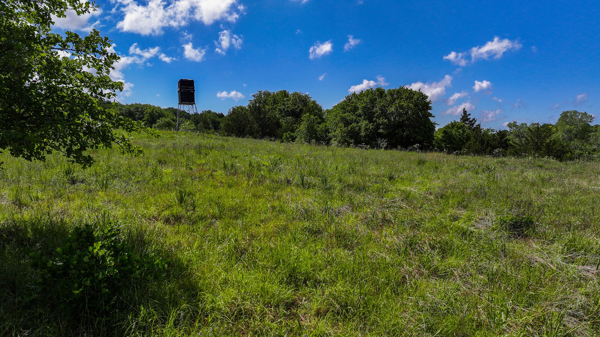 Tbd Highway 59 Montague TX 76251