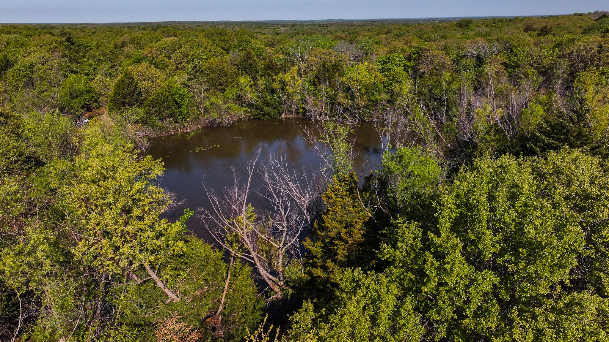 Tbd Highway 59 Montague TX 76251