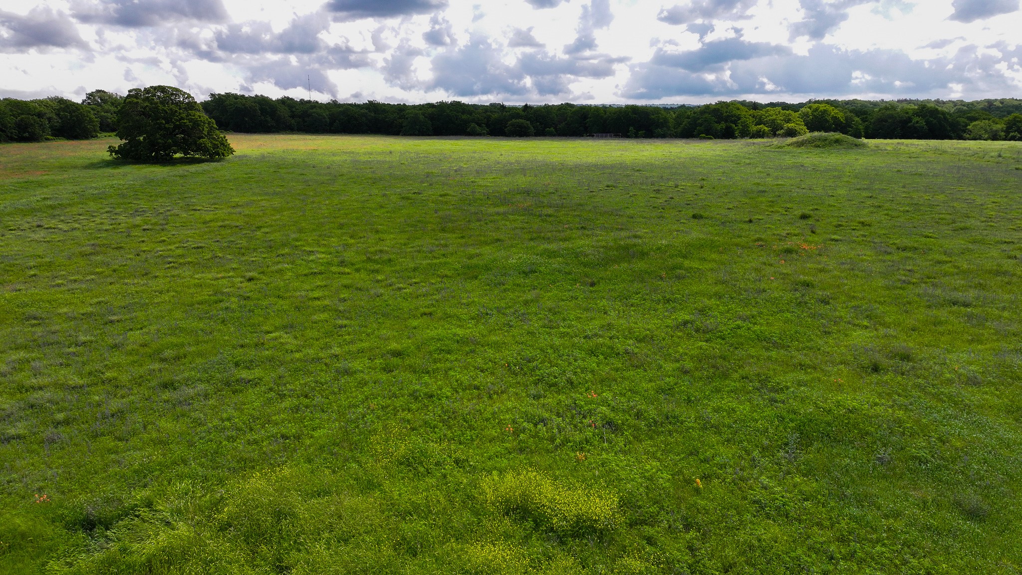 Tbd Highway 59 Montague TX 76251