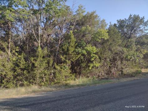 1011 Comanche Cove Drive Granbury TX 76048