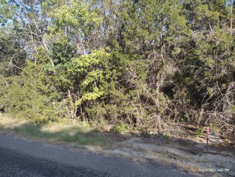 1011 Comanche Cove Drive Granbury TX 76048